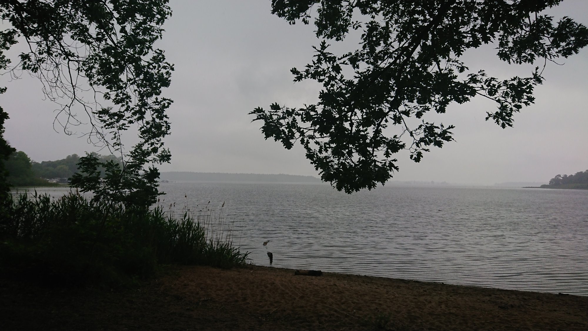 DSC_0652.JPG