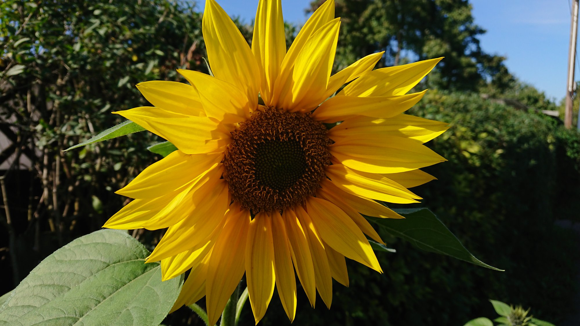 DSC_0660.JPG