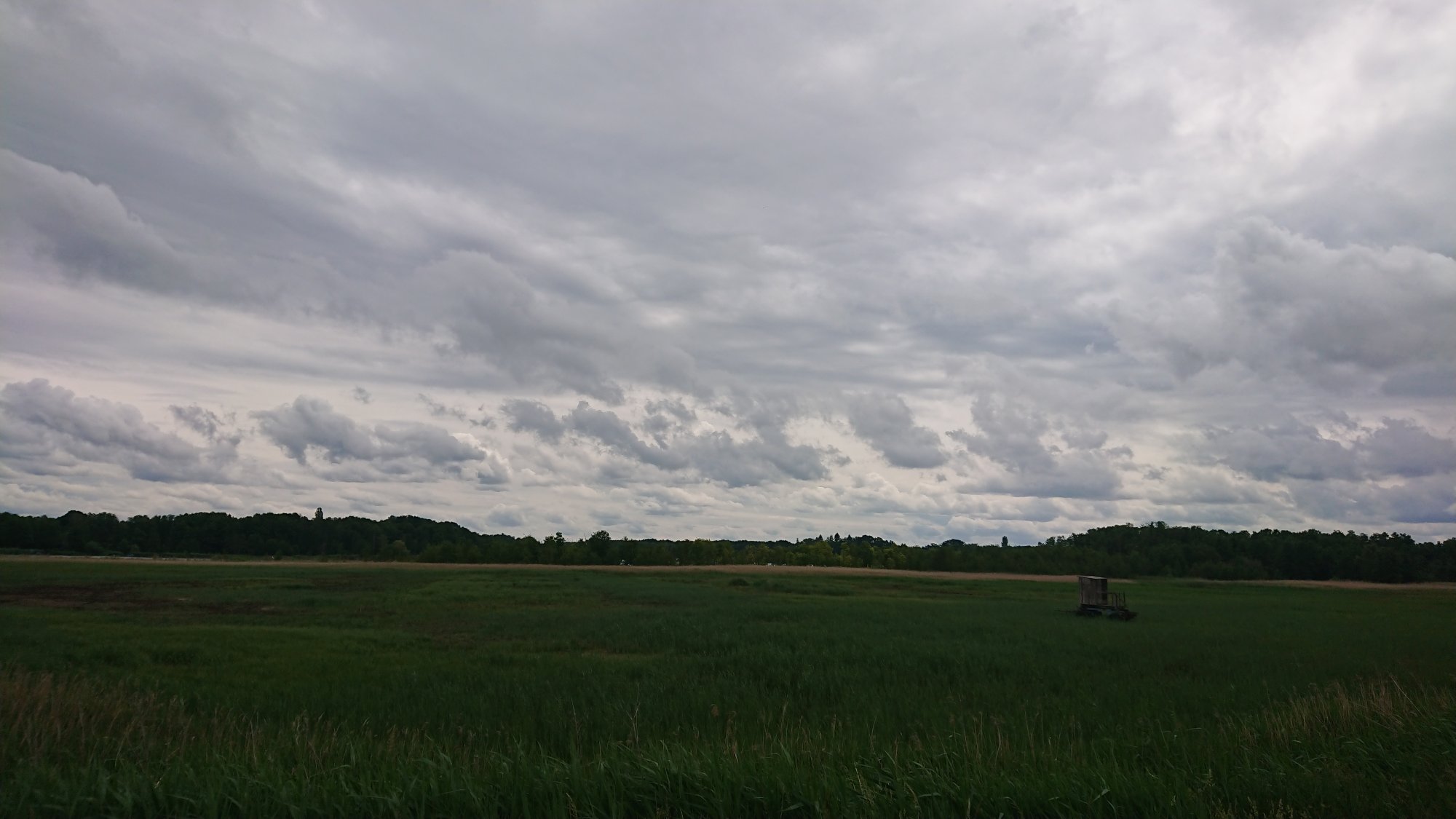 DSC_0664.JPG
