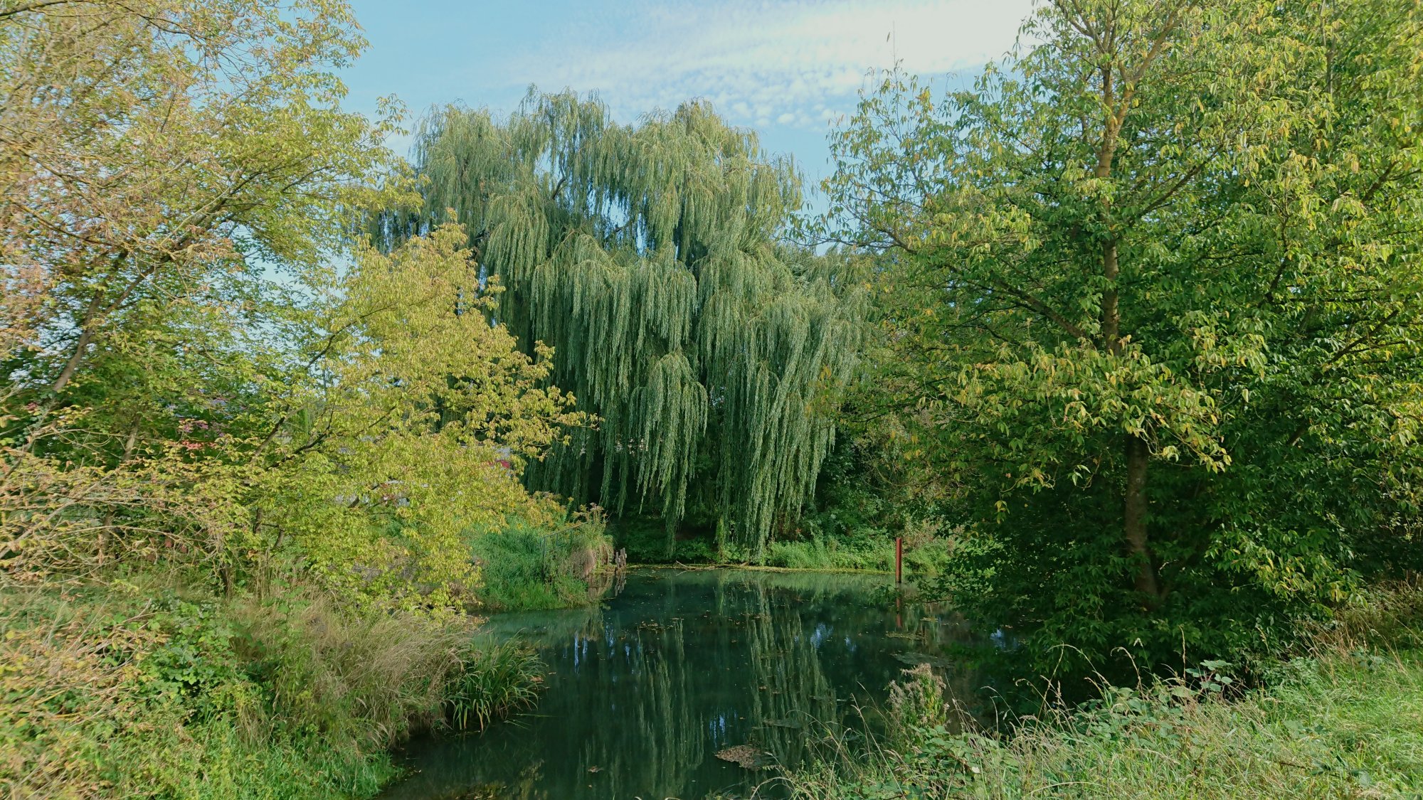 DSC_0668.JPG