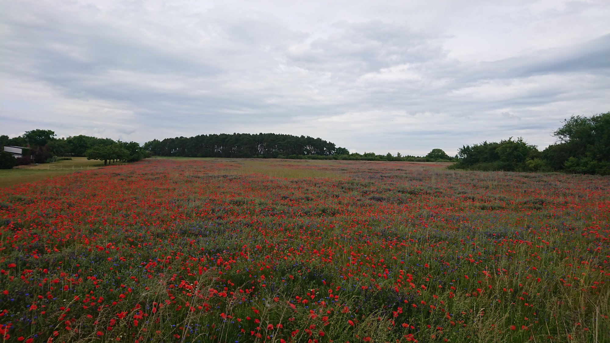 DSC_0679.JPG