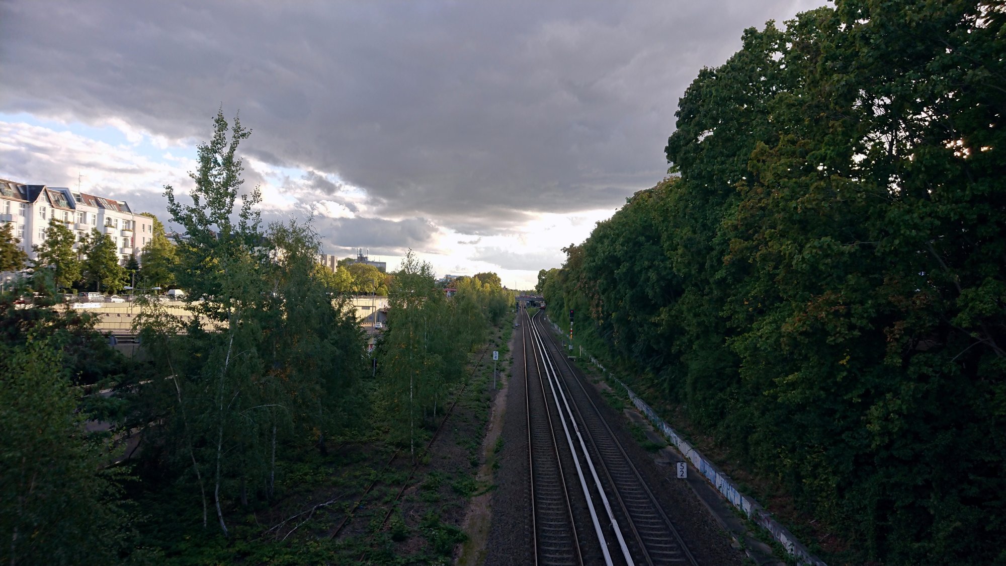 DSC_0679.JPG