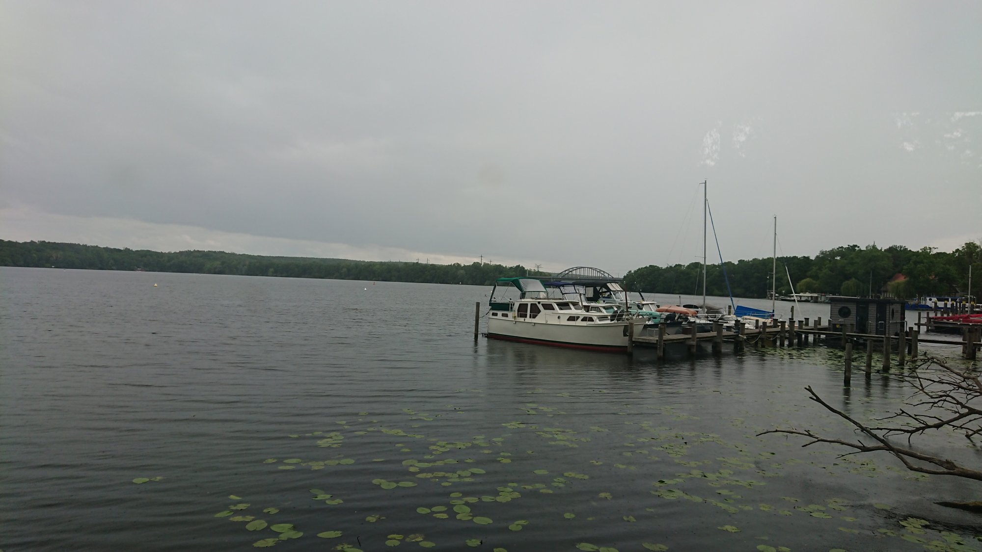 DSC_0683.JPG