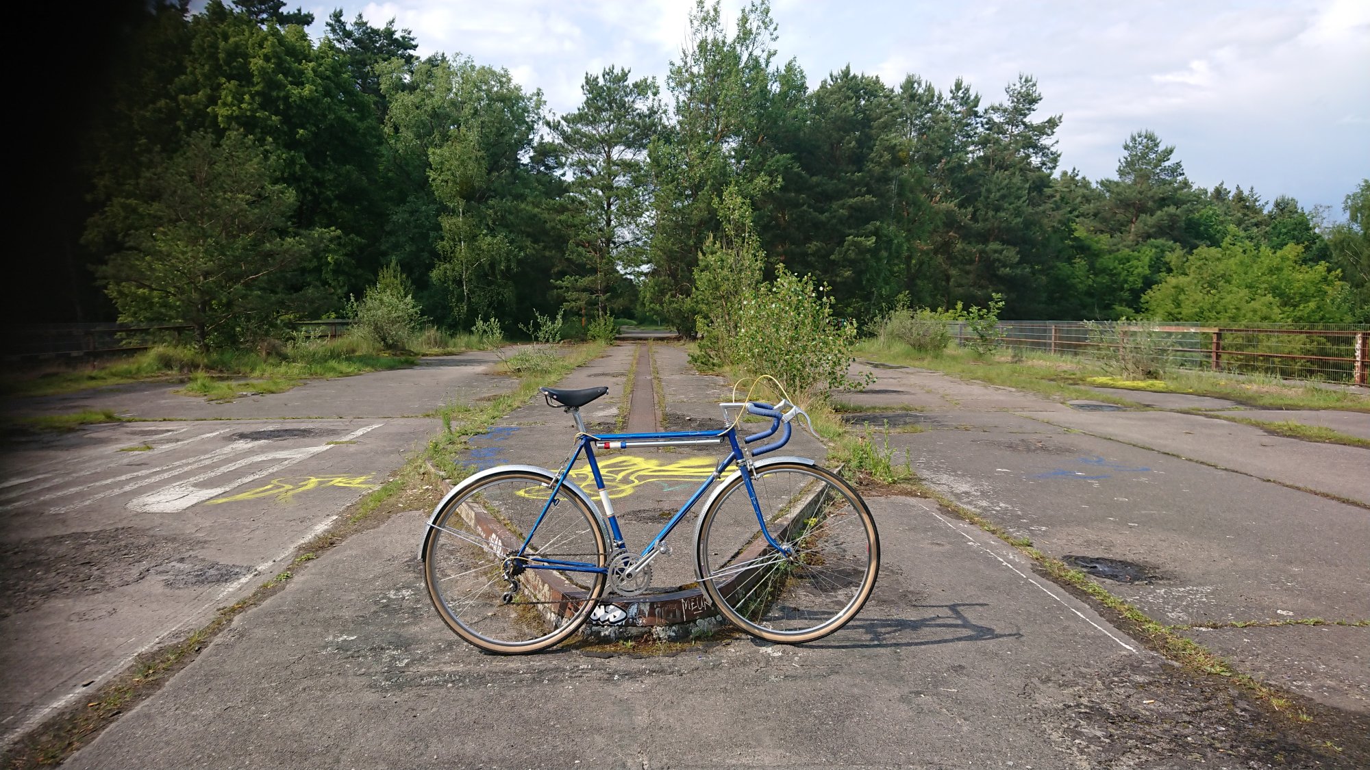 DSC_0689.JPG
