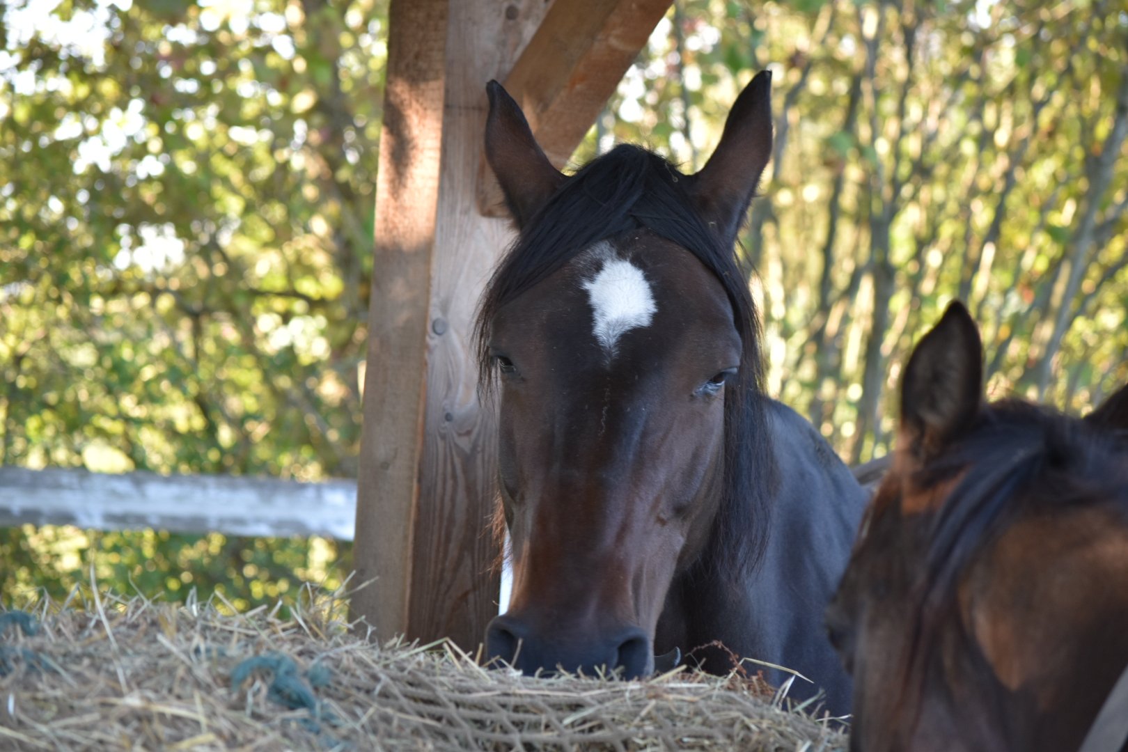 DSC_0753.JPG