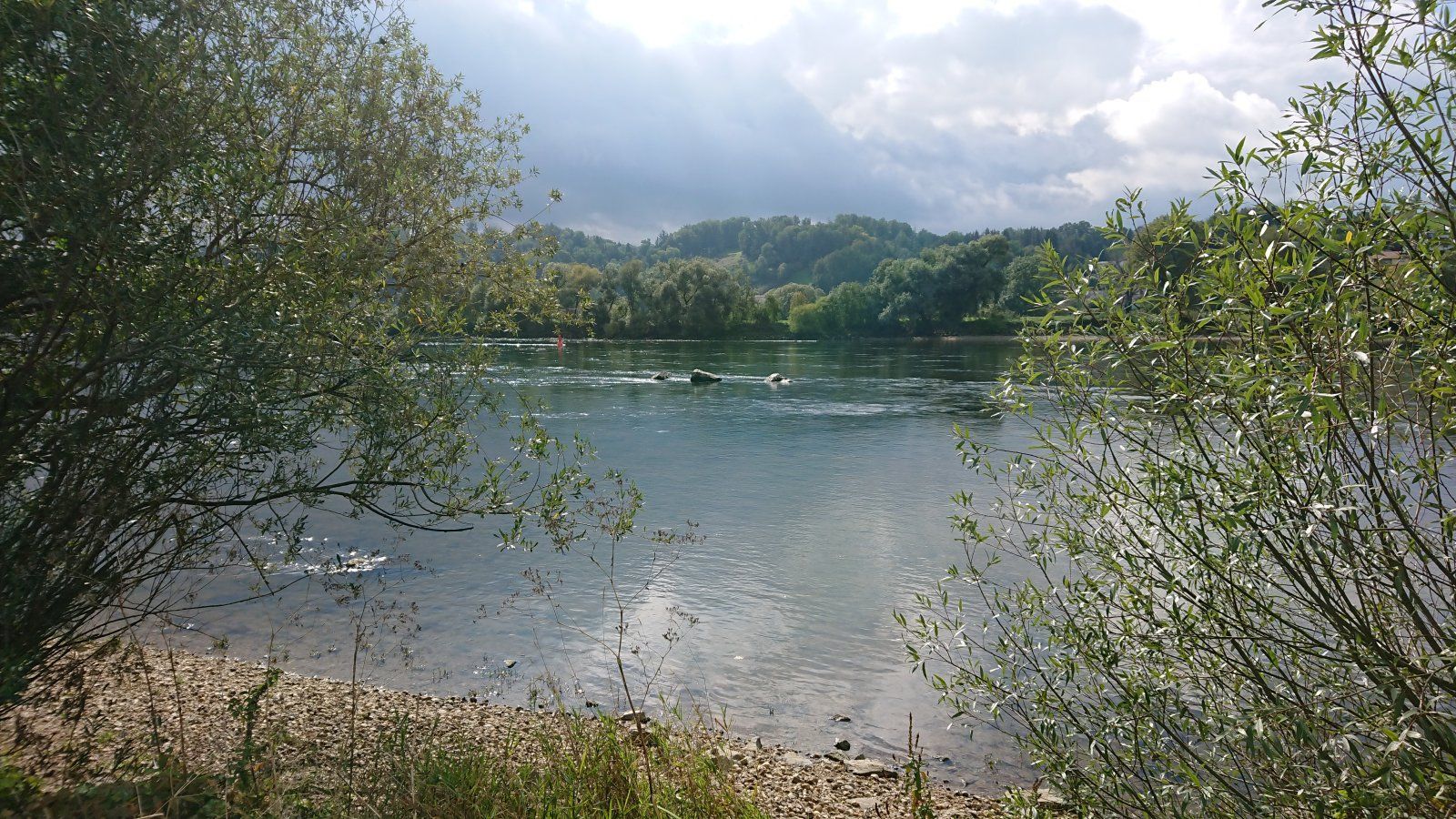 DSC_0978.JPG