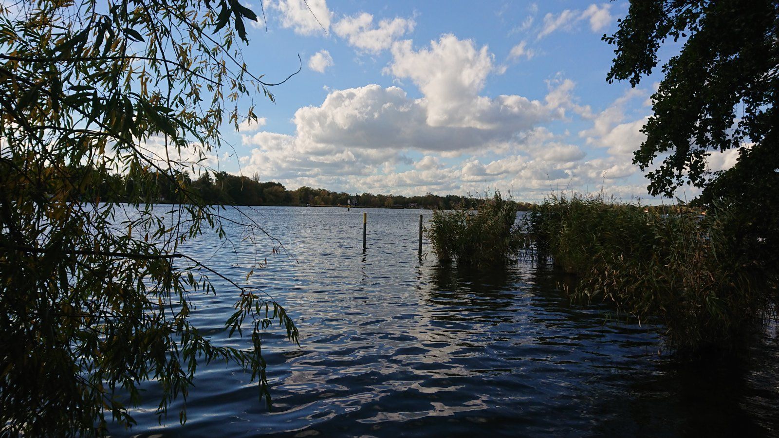 DSC_1054.JPG
