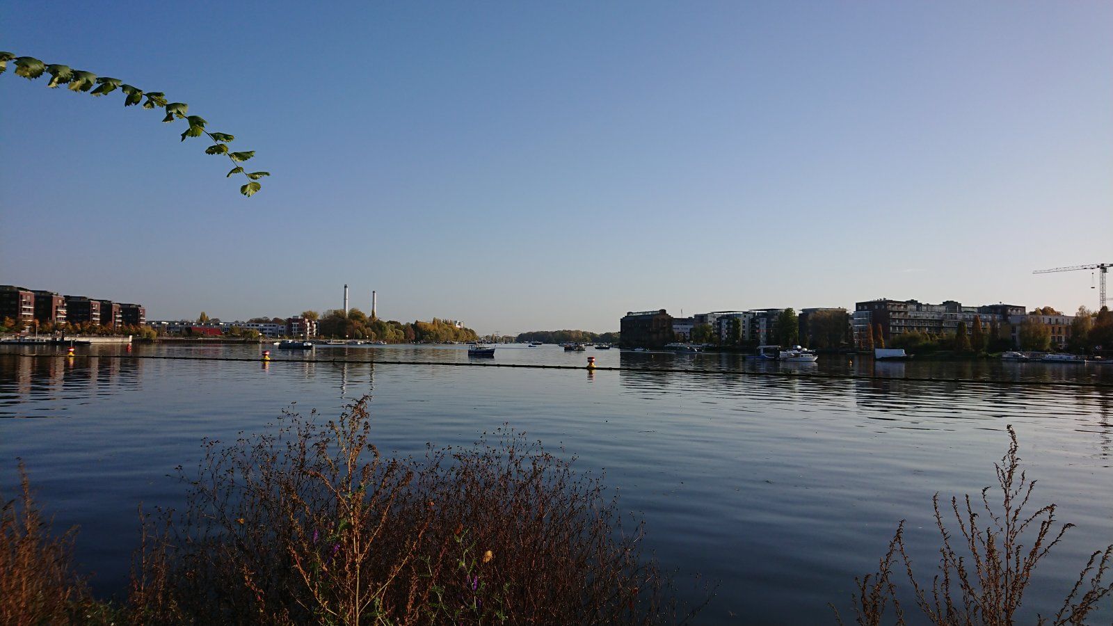 DSC_1085.JPG