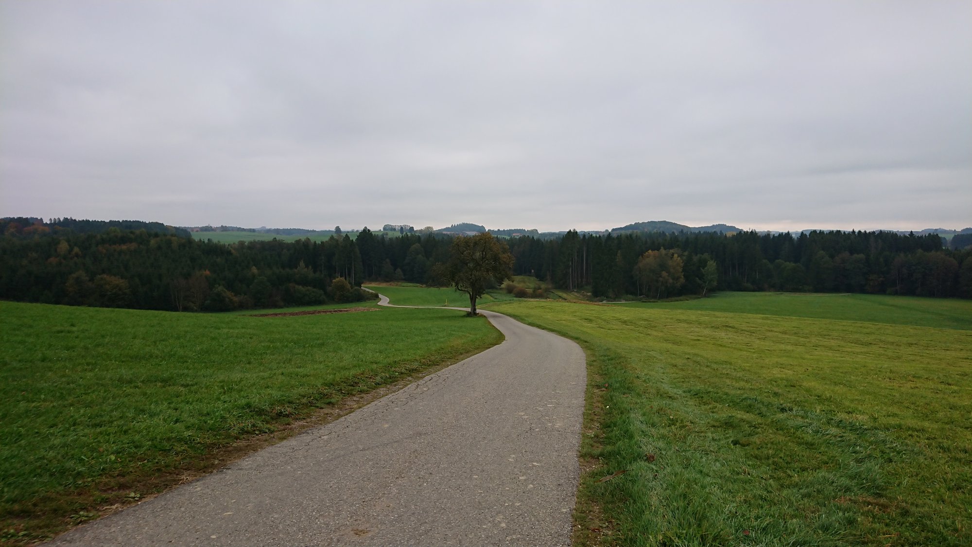 DSC_1105.JPG