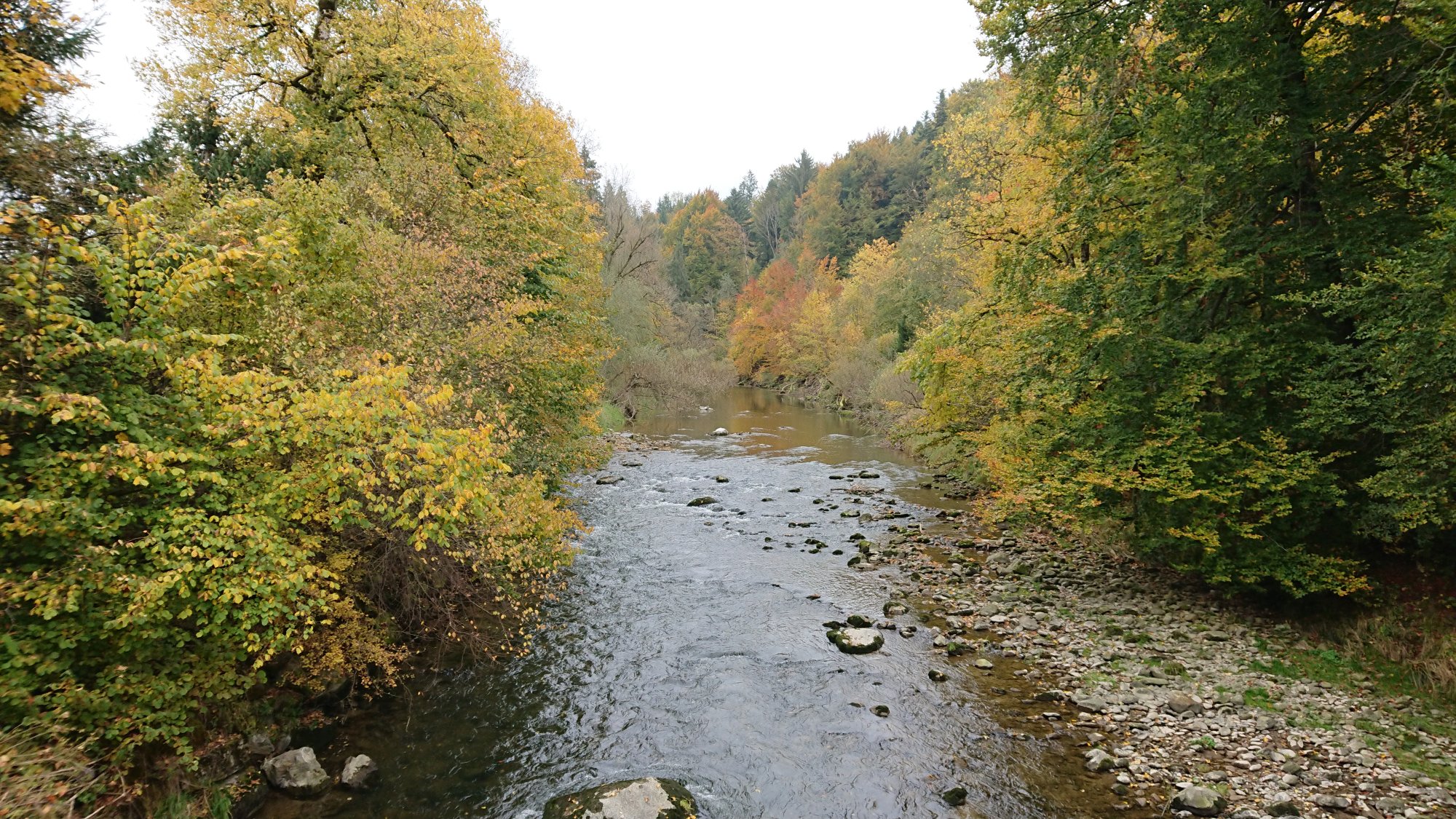 DSC_1114.JPG