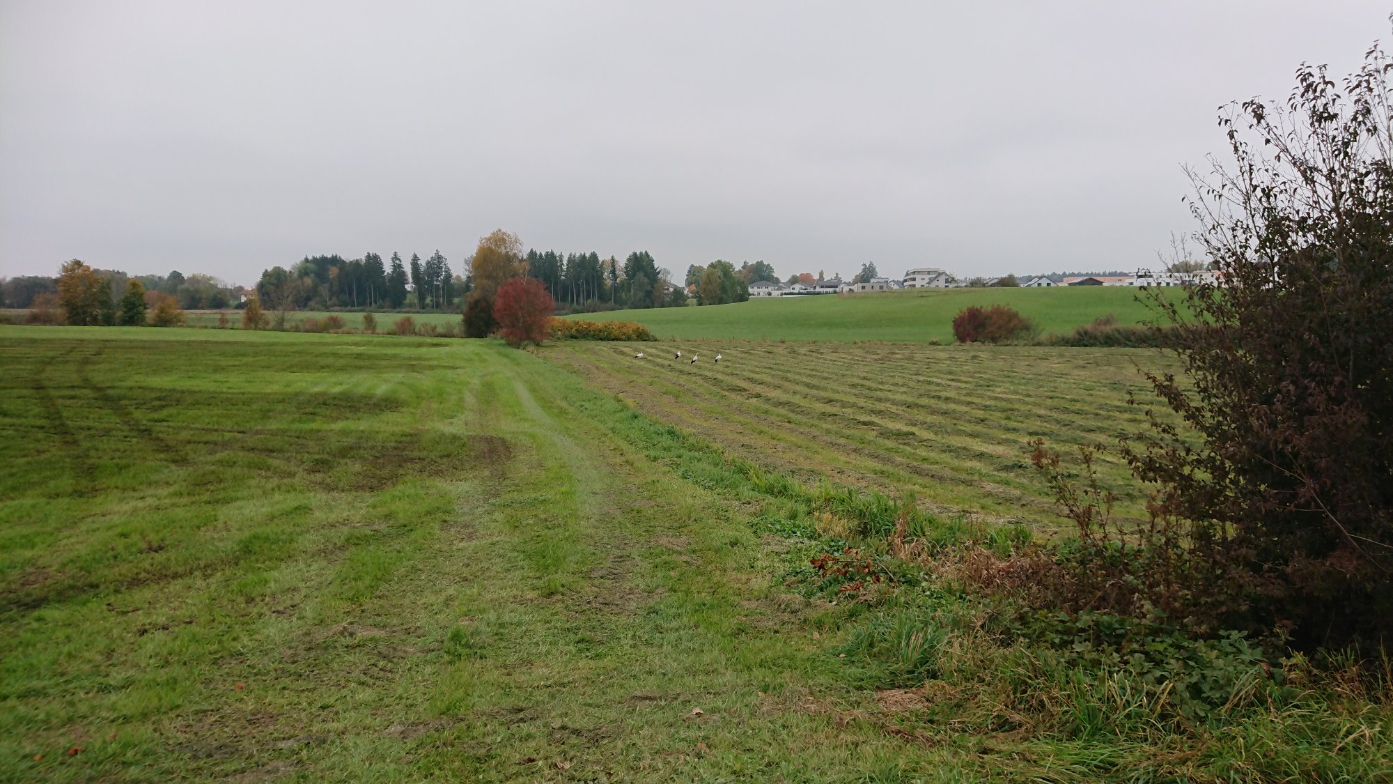 DSC_1116.JPG