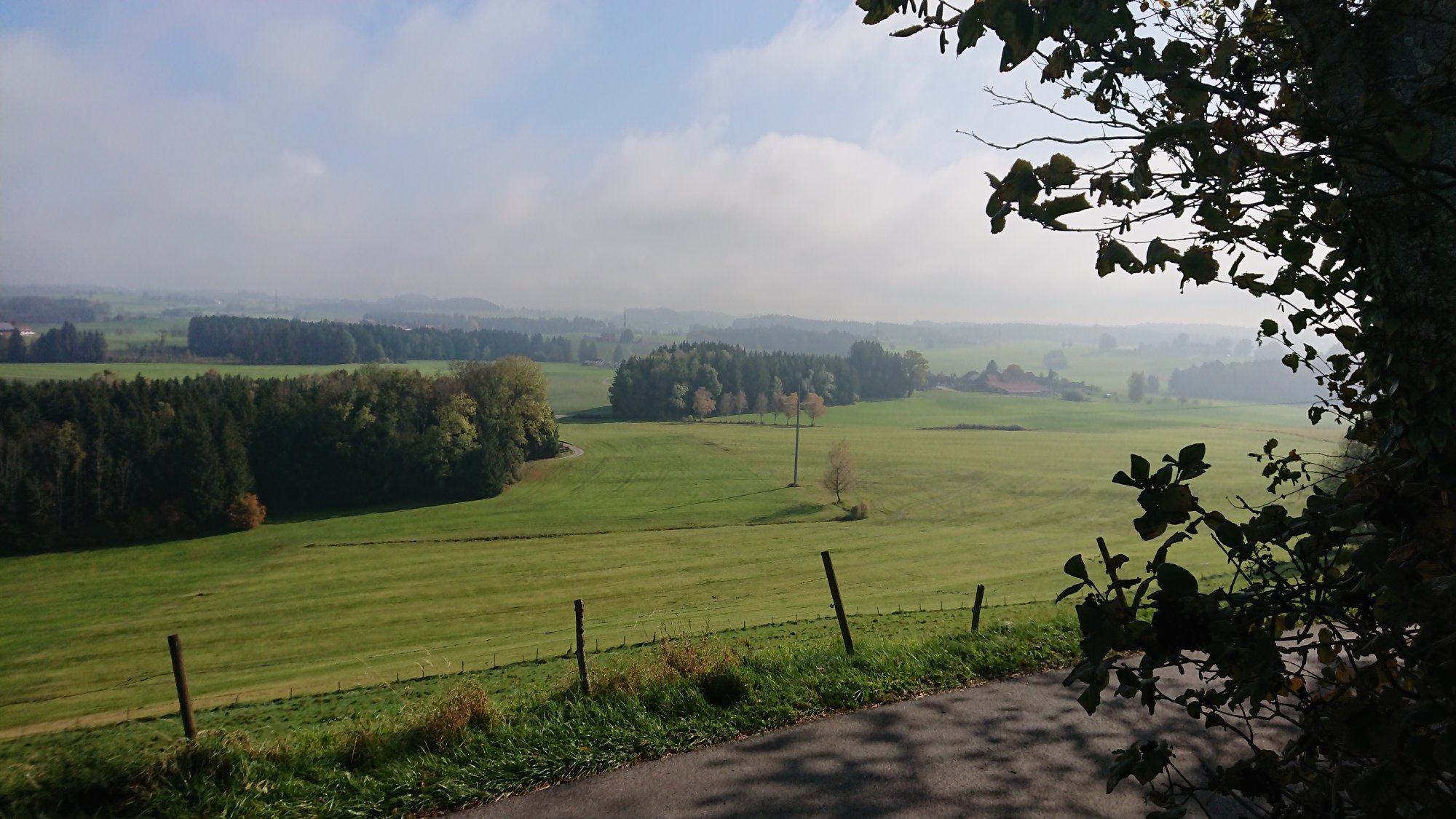 DSC_1131.JPG
