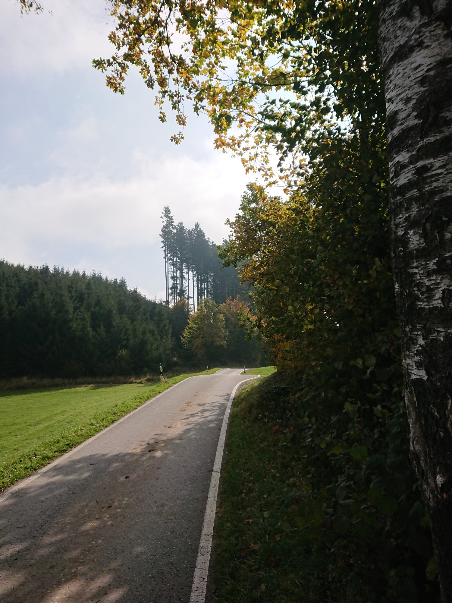 DSC_1141.JPG