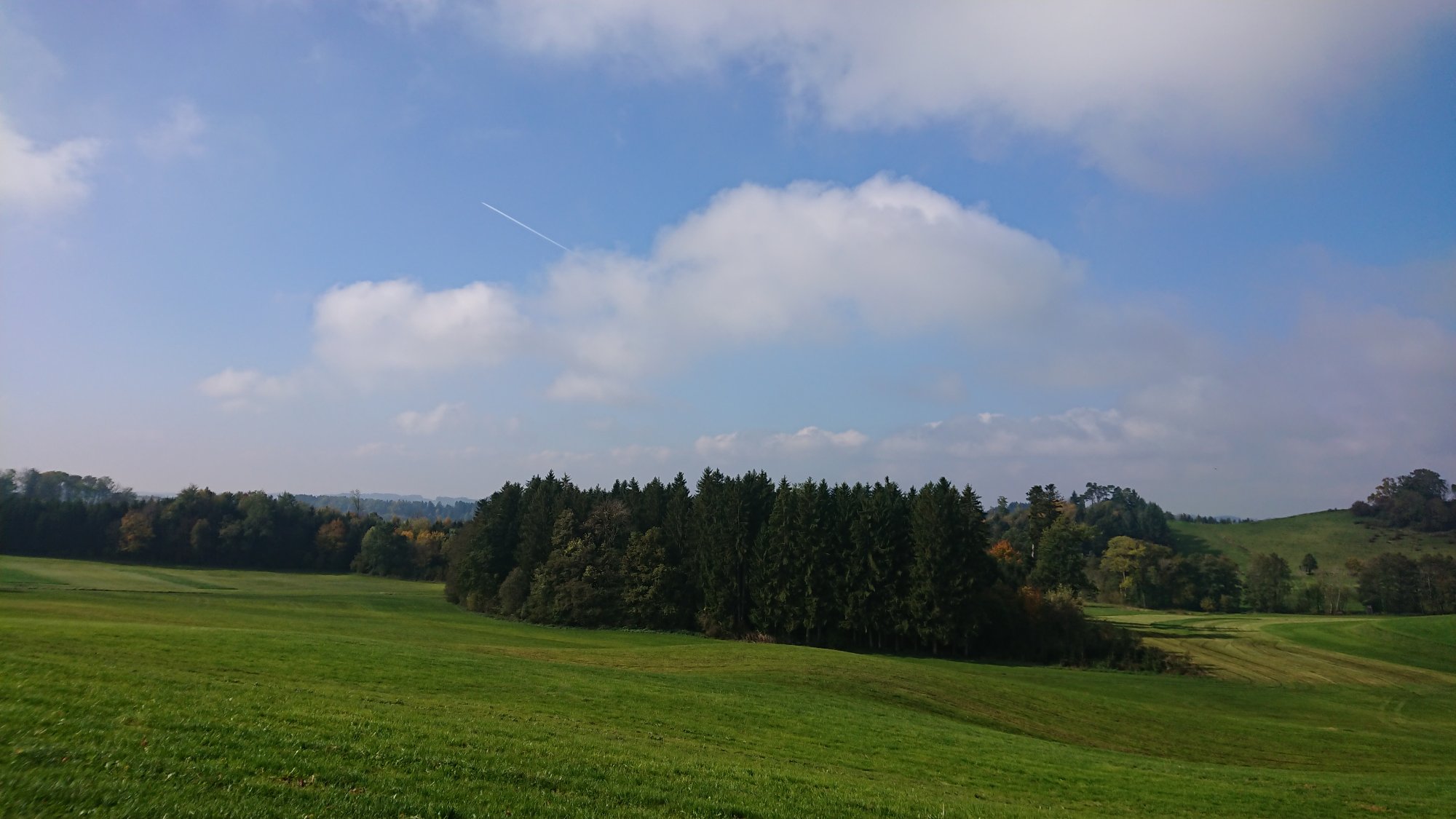 DSC_1142.JPG