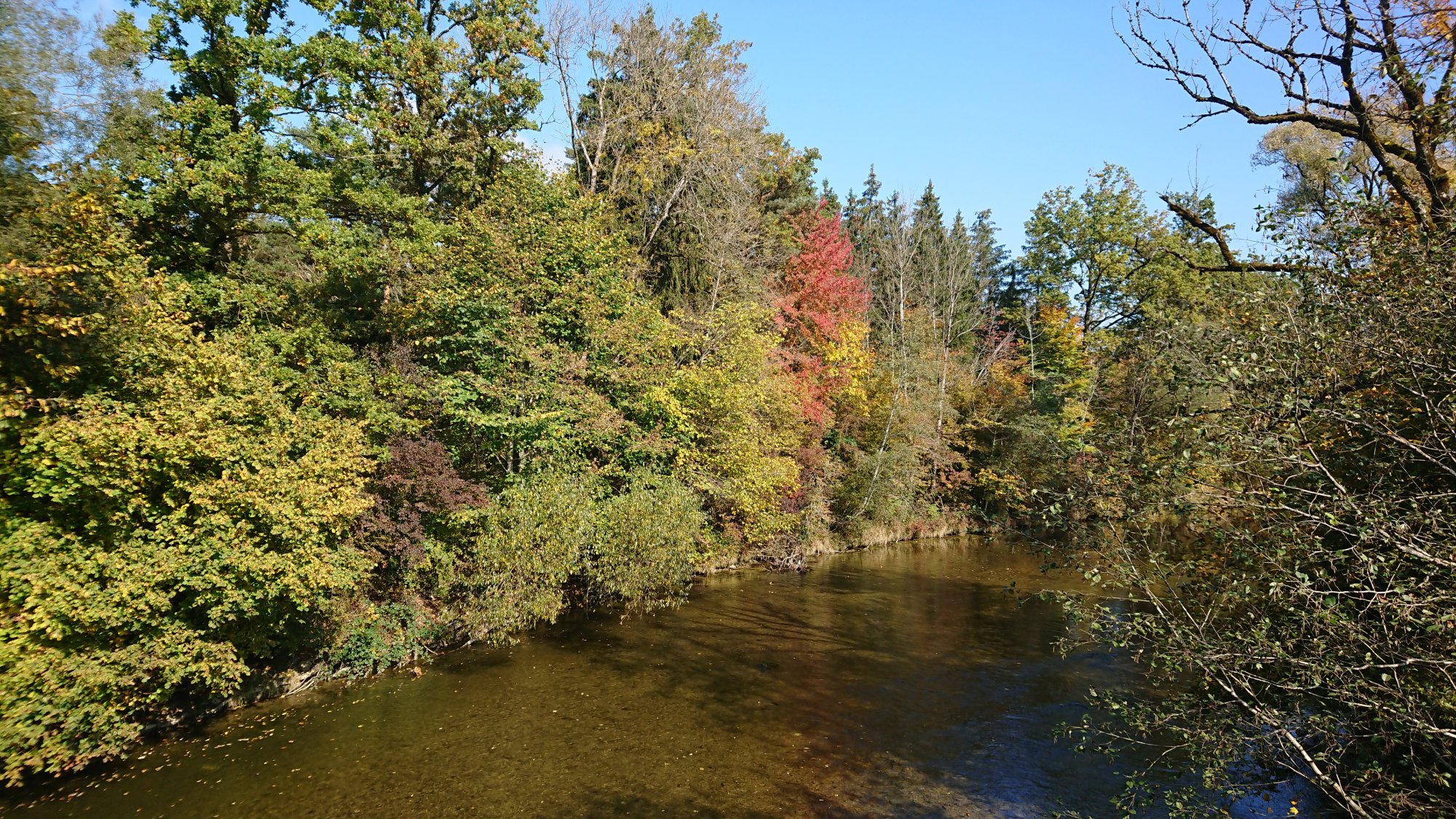 DSC_1148.JPG