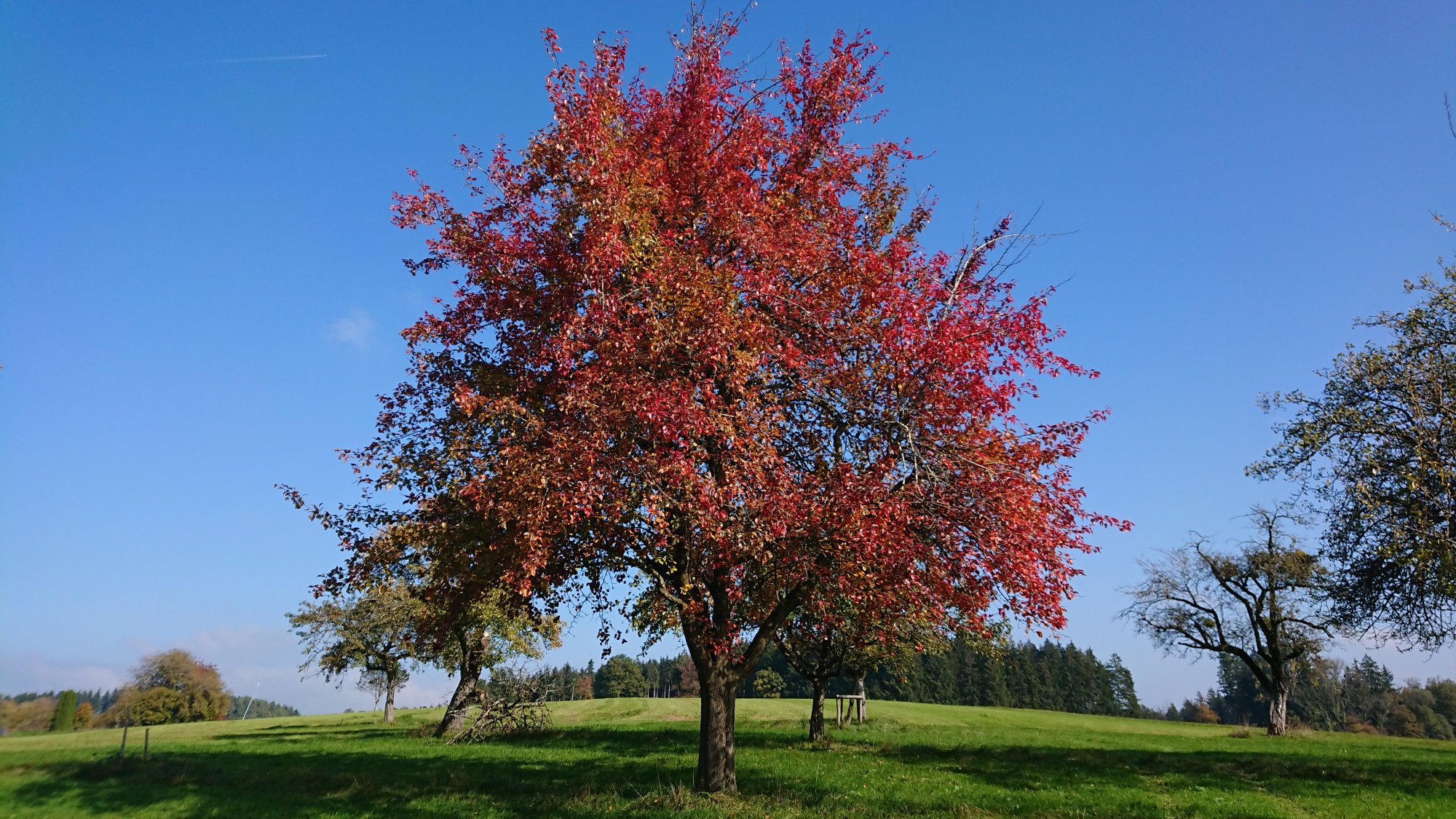 DSC_1150.JPG
