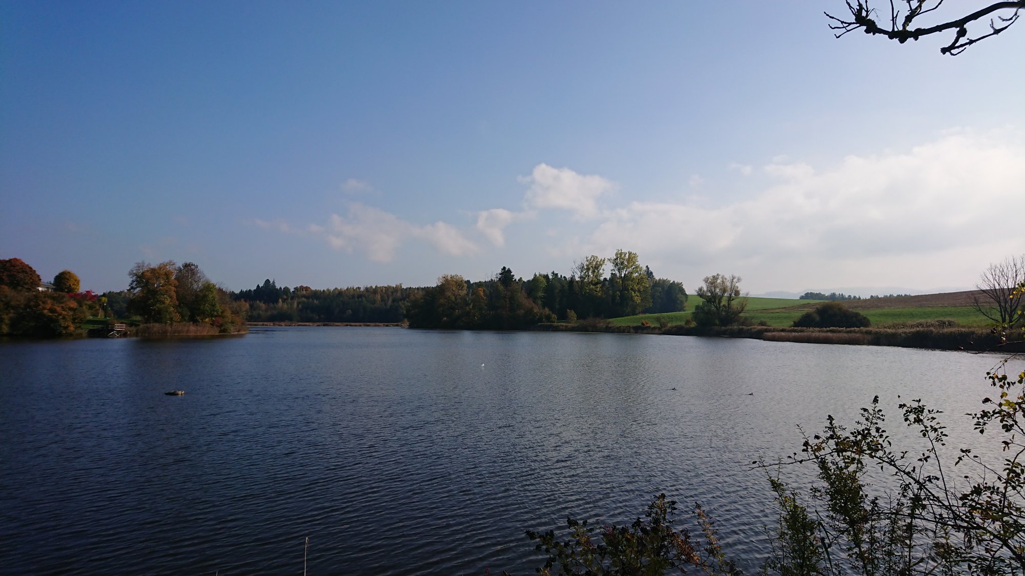 DSC_1160.JPG
