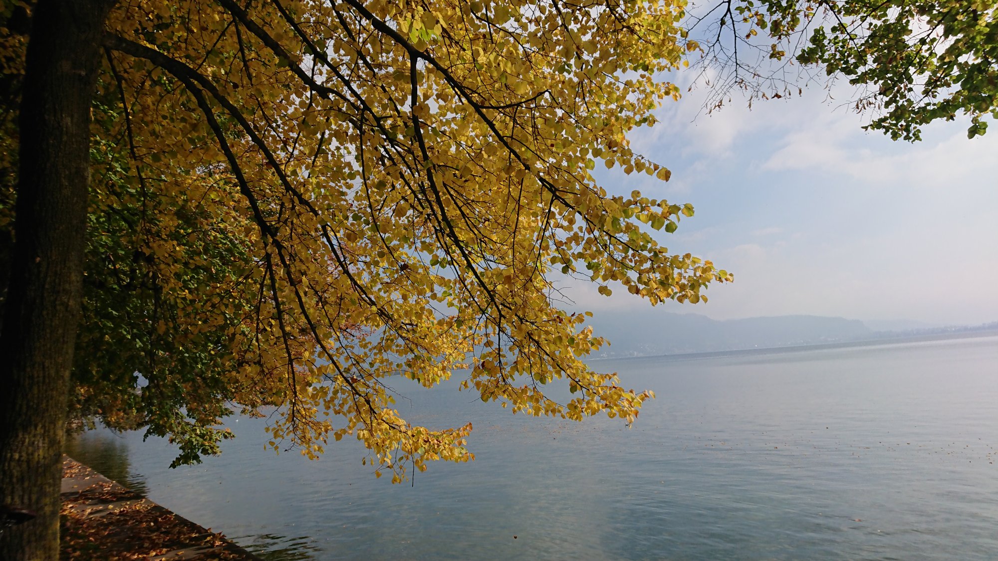 DSC_1166.JPG