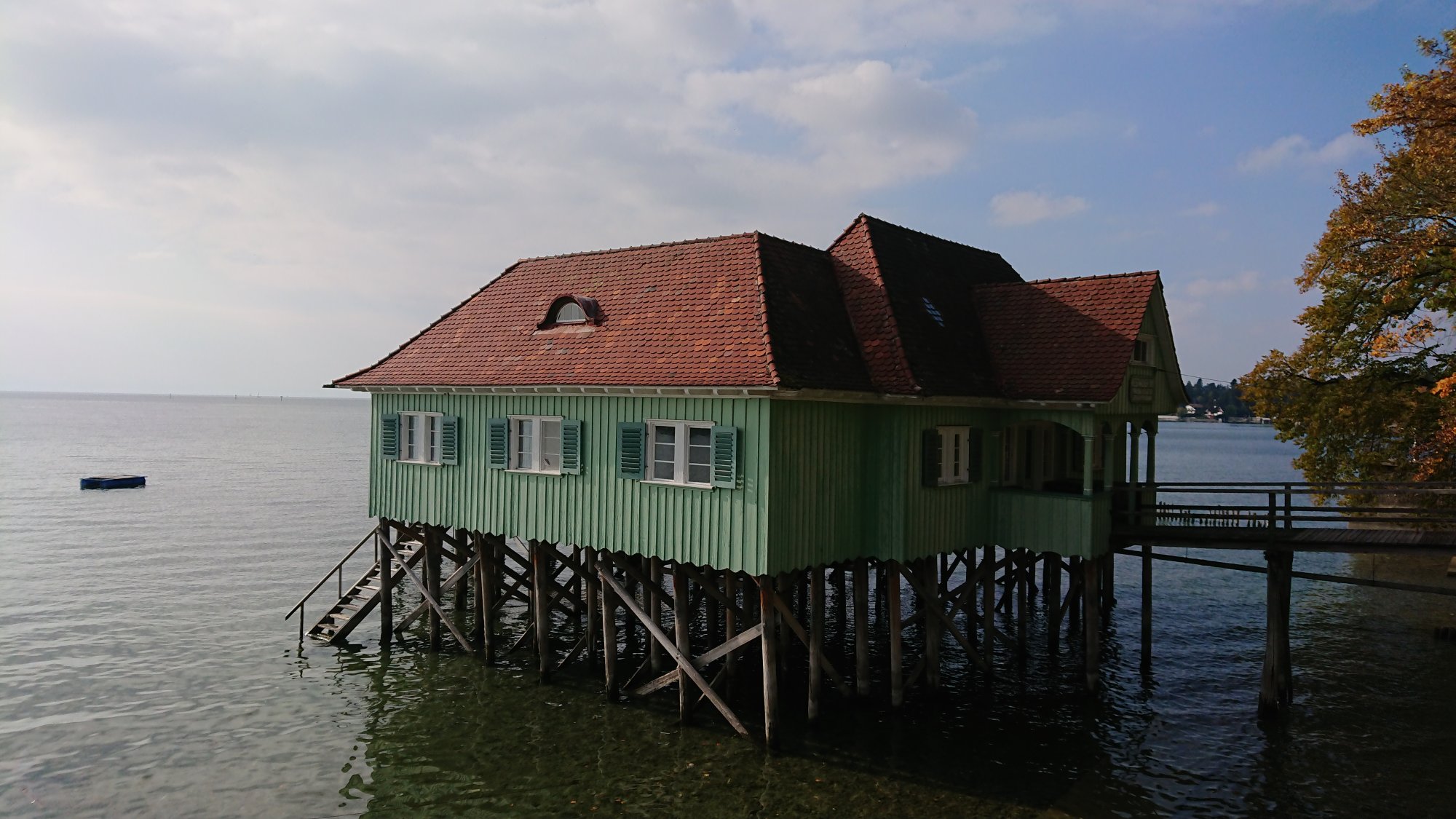 DSC_1169.JPG