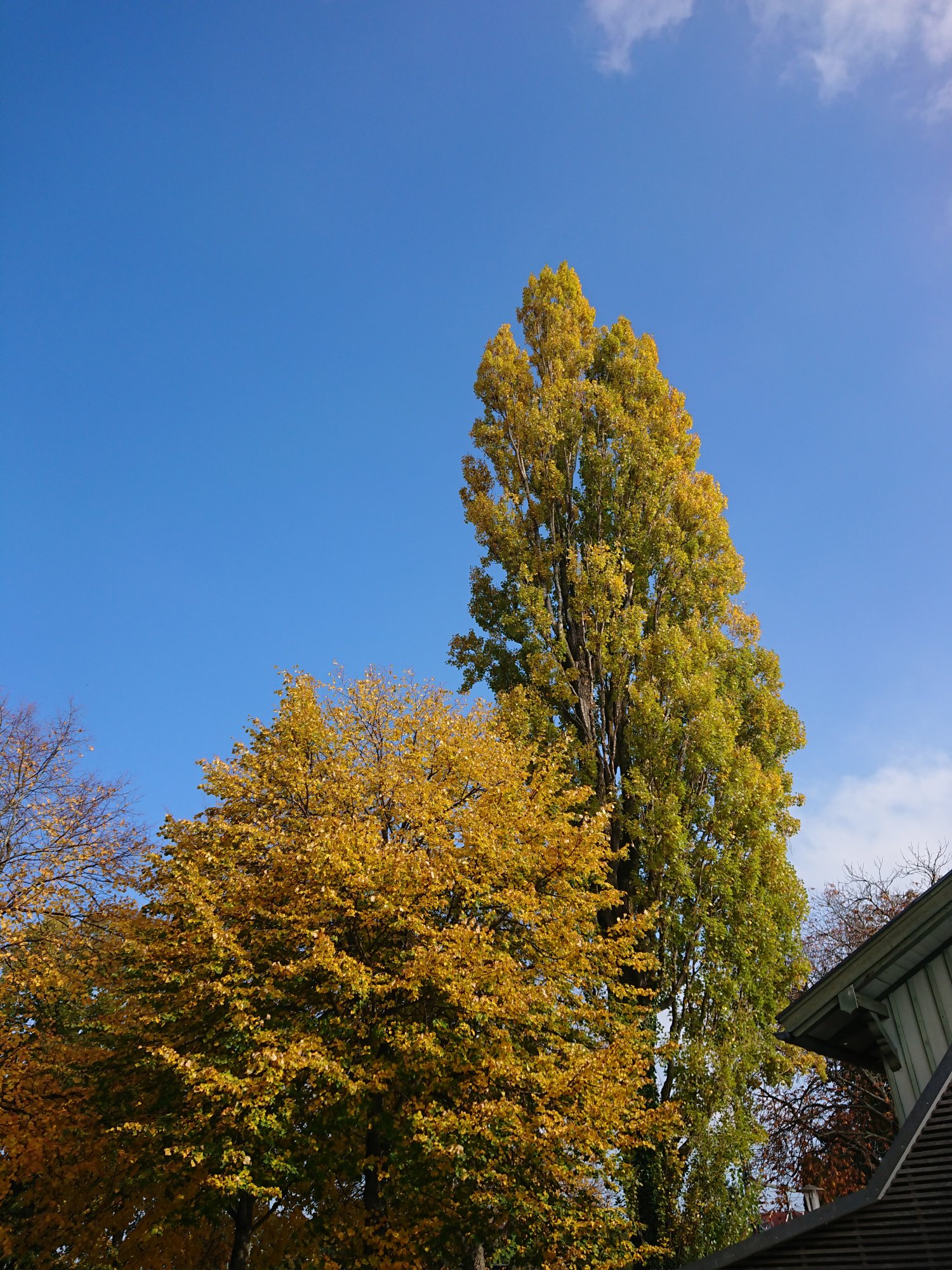 DSC_1170.JPG