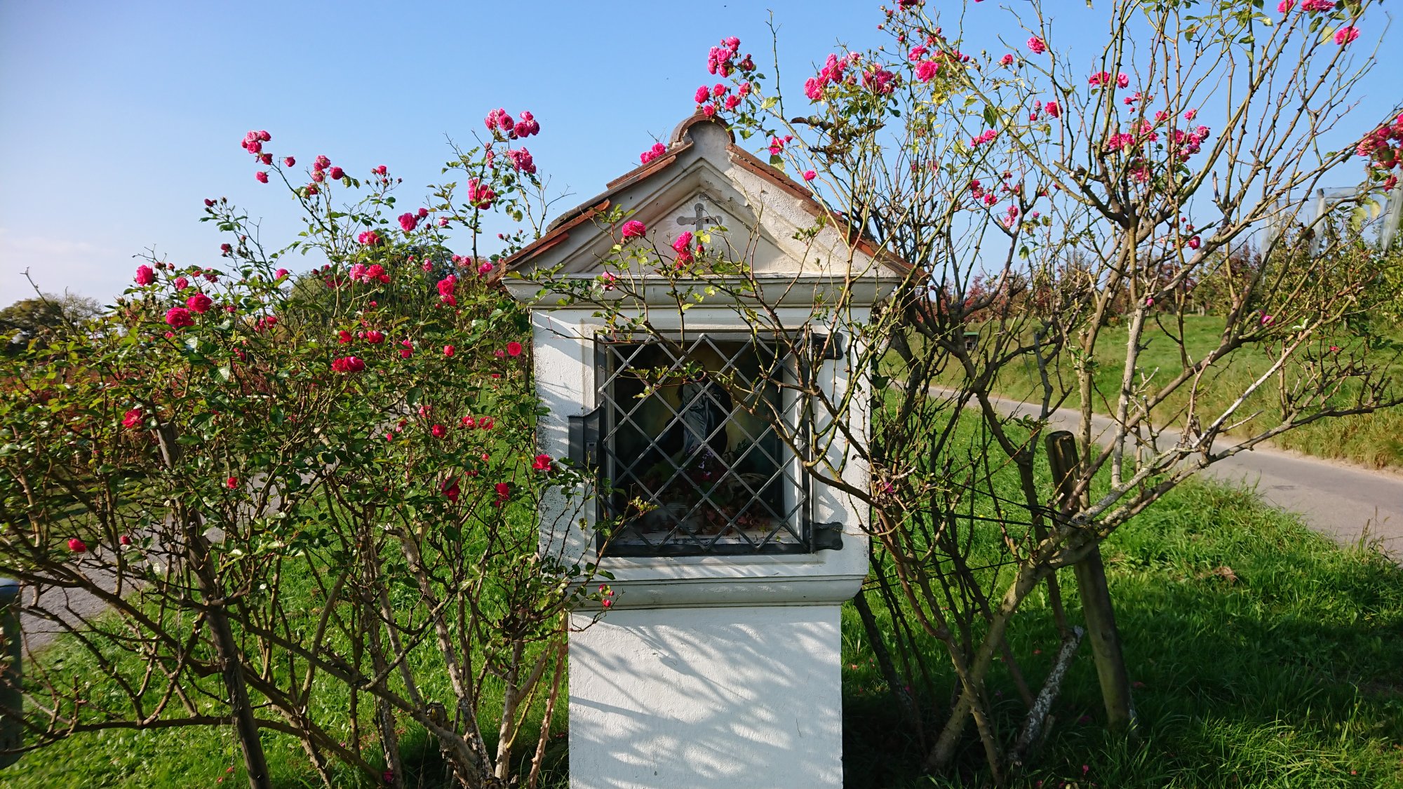 DSC_1173.JPG