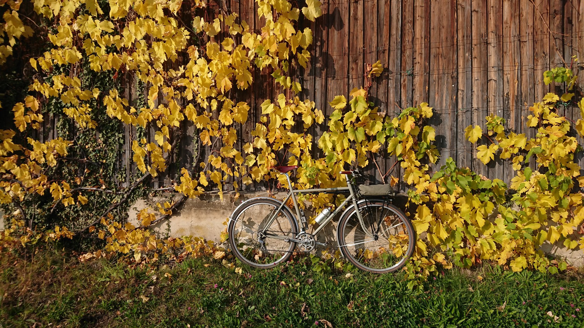 DSC_1176.JPG