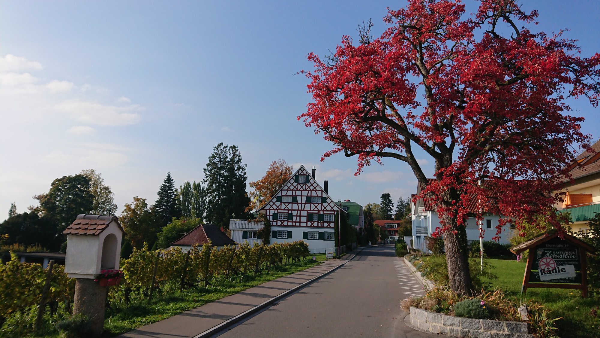 DSC_1179.JPG