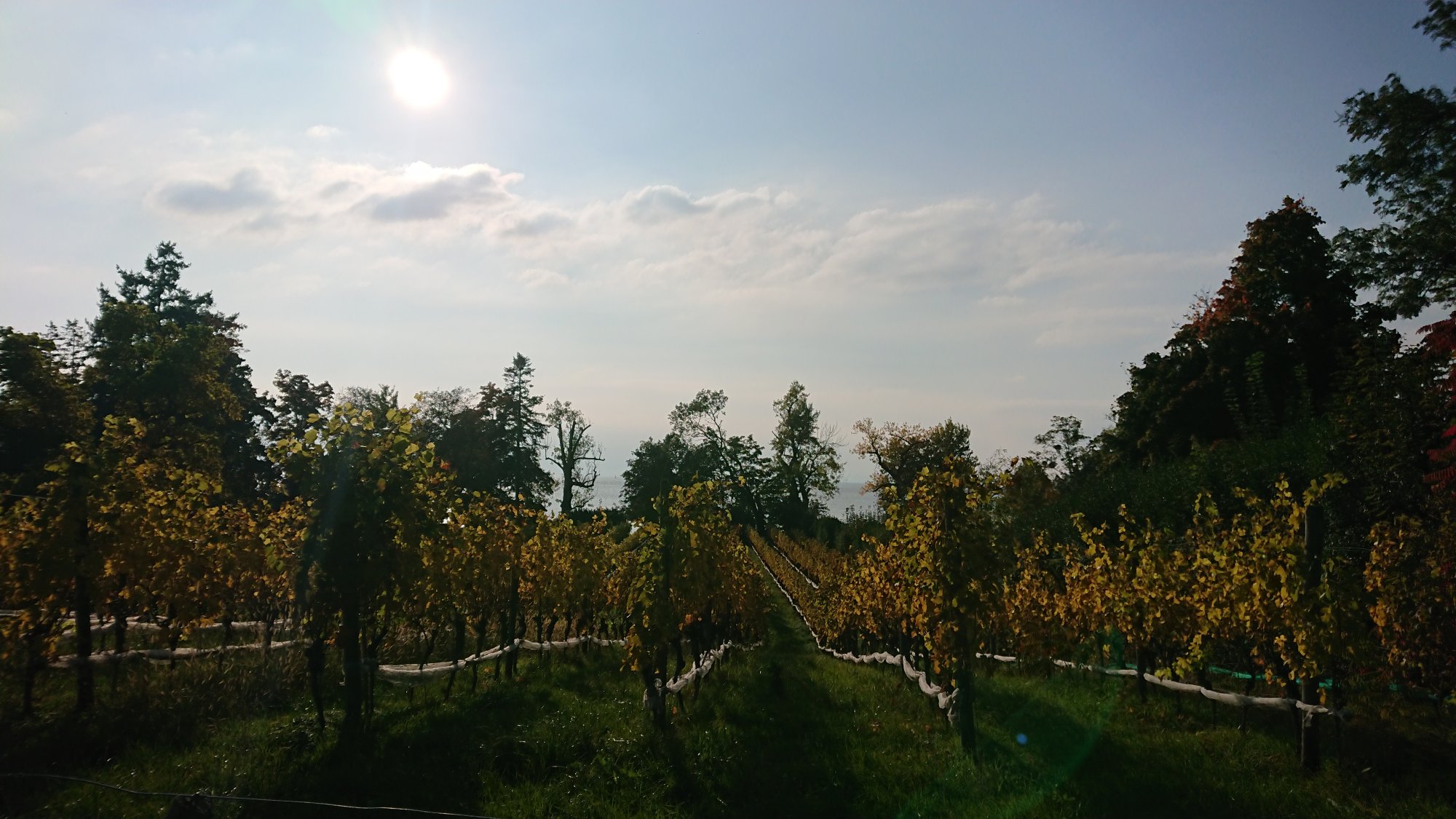 DSC_1180.JPG