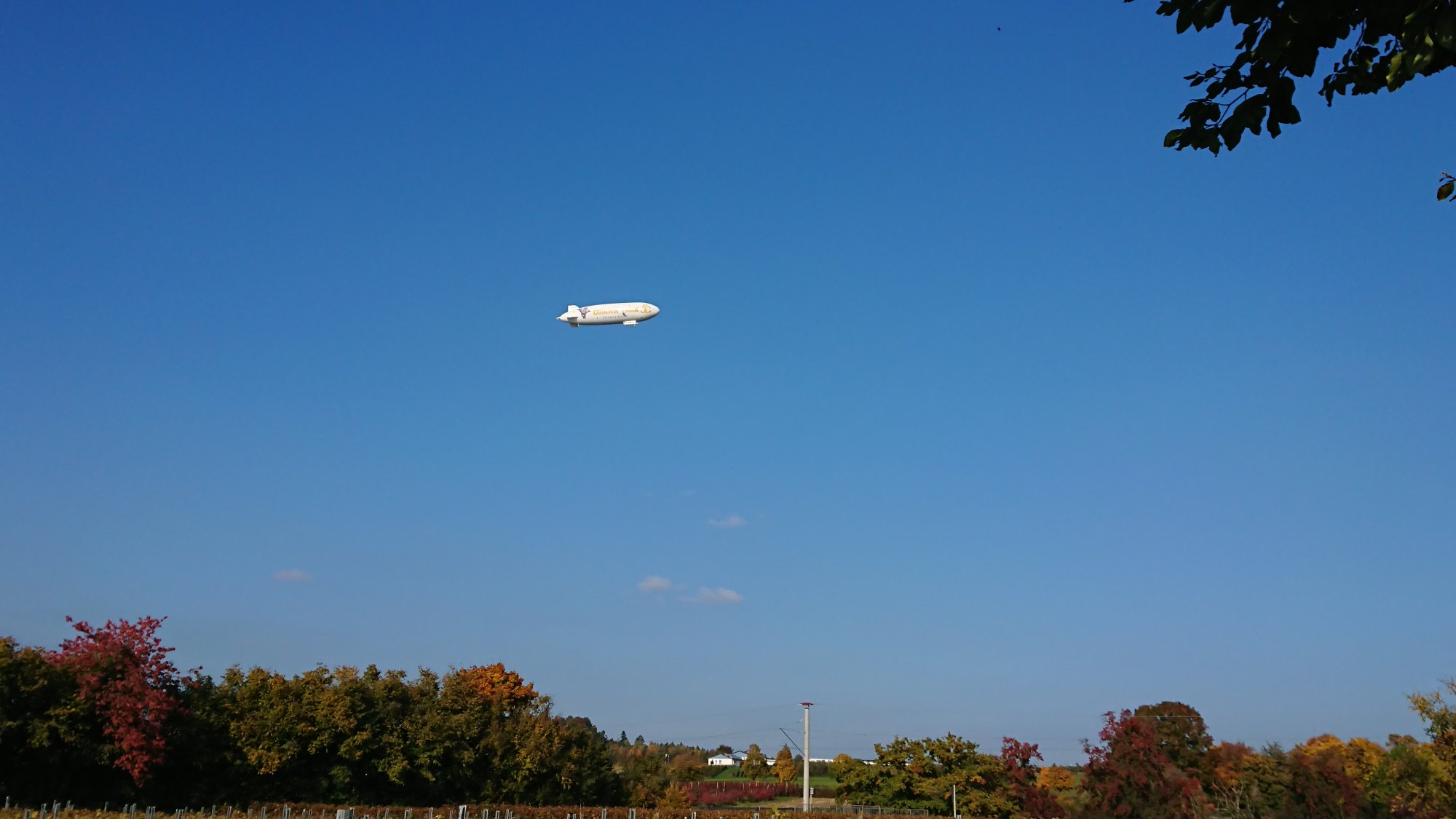 DSC_1181.JPG