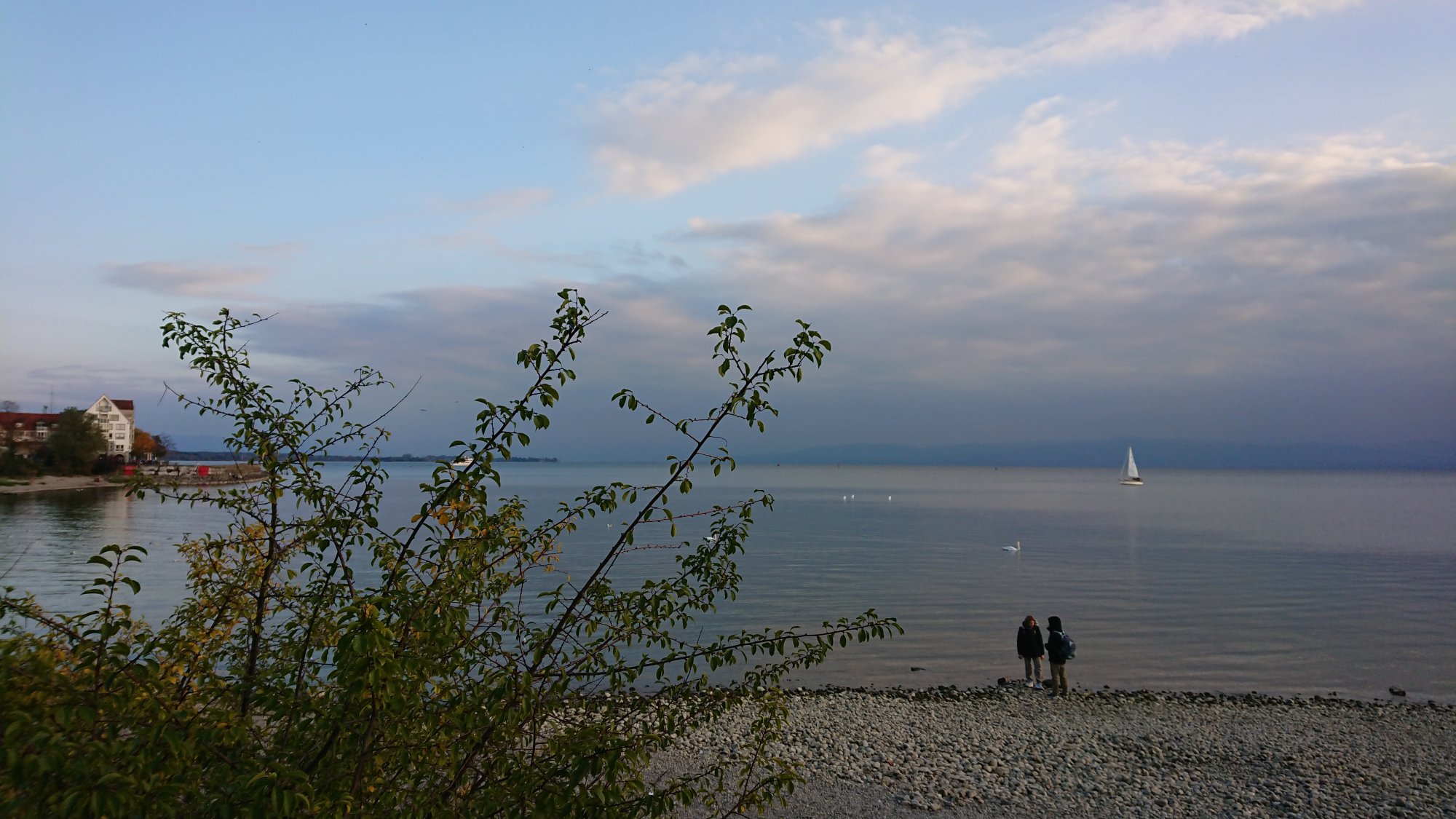 DSC_1192.JPG