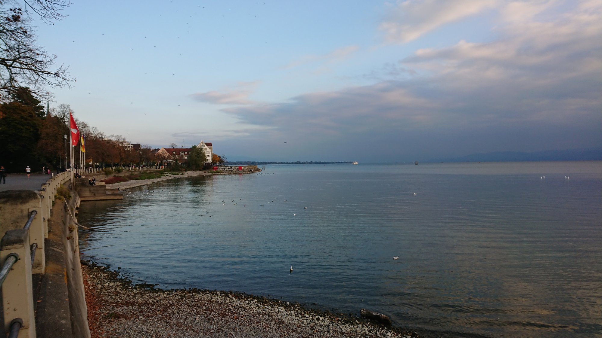 DSC_1194.JPG