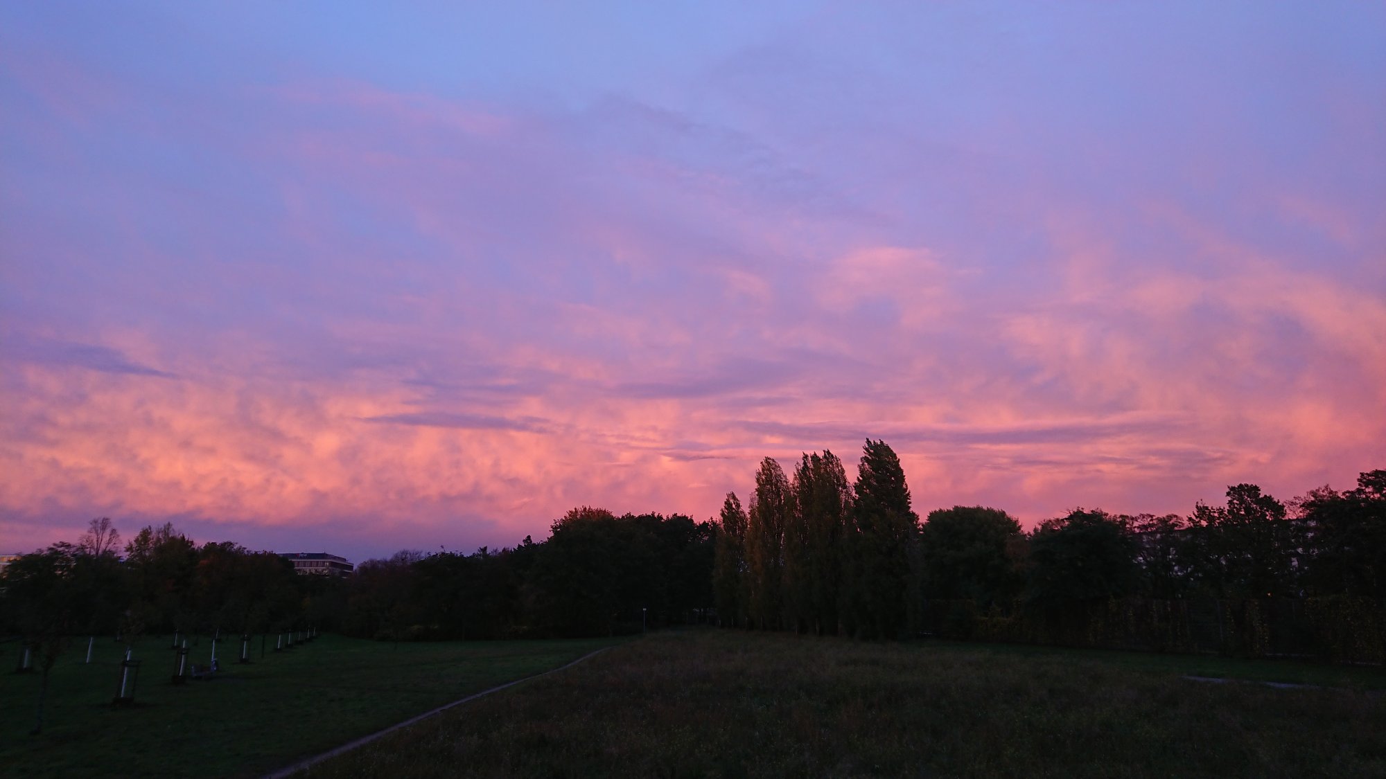 DSC_1220.JPG