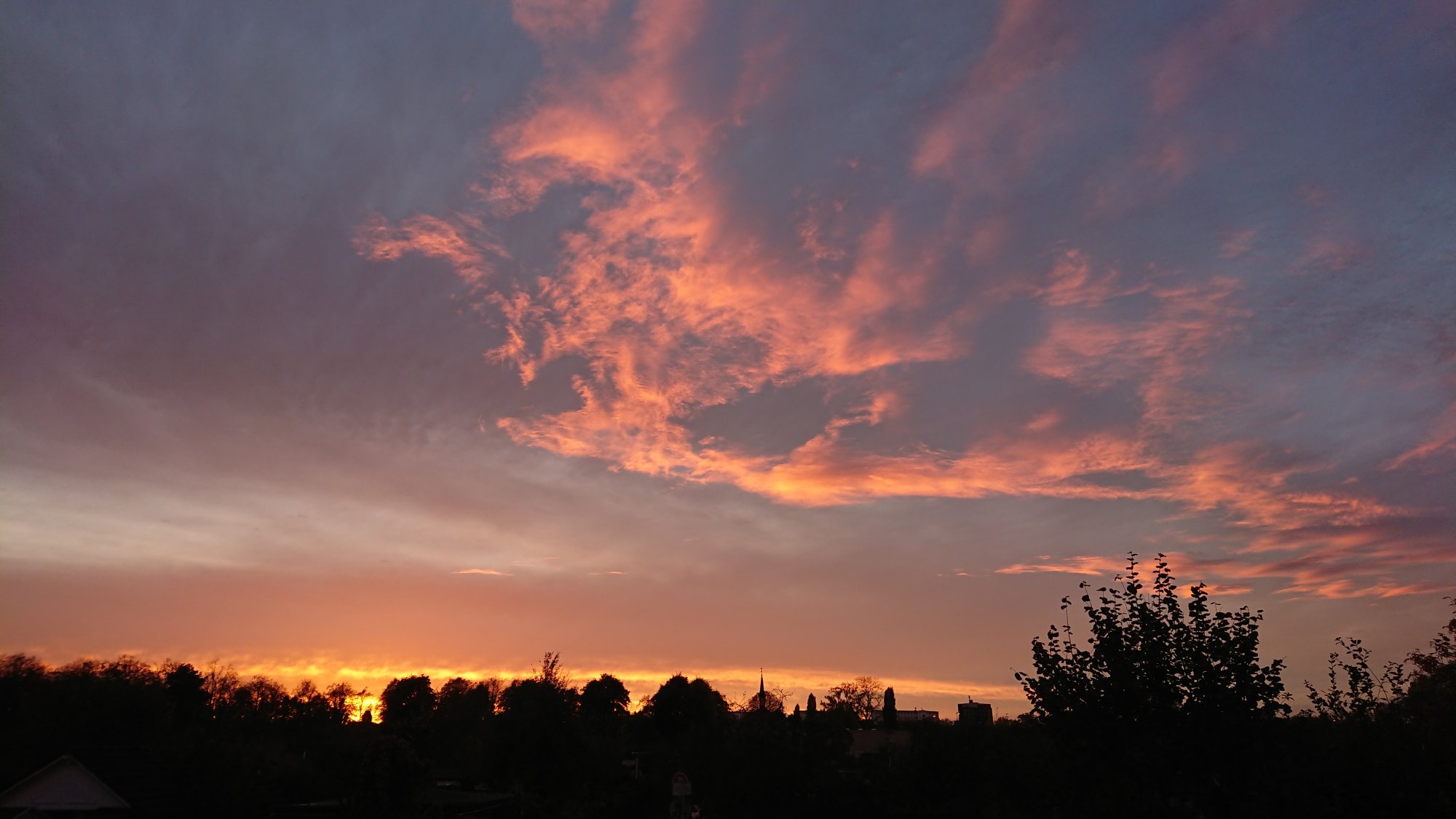DSC_1221.JPG
