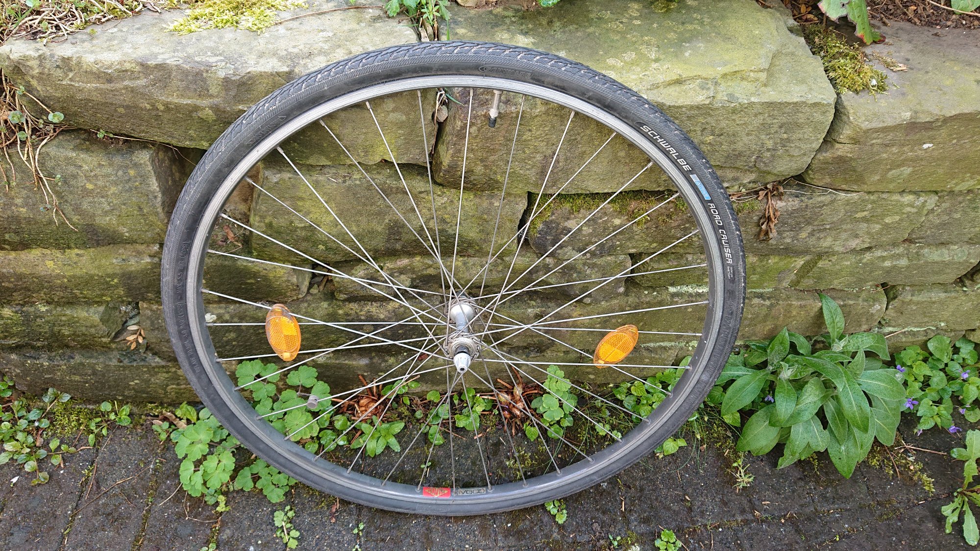 DSC_1308.JPG