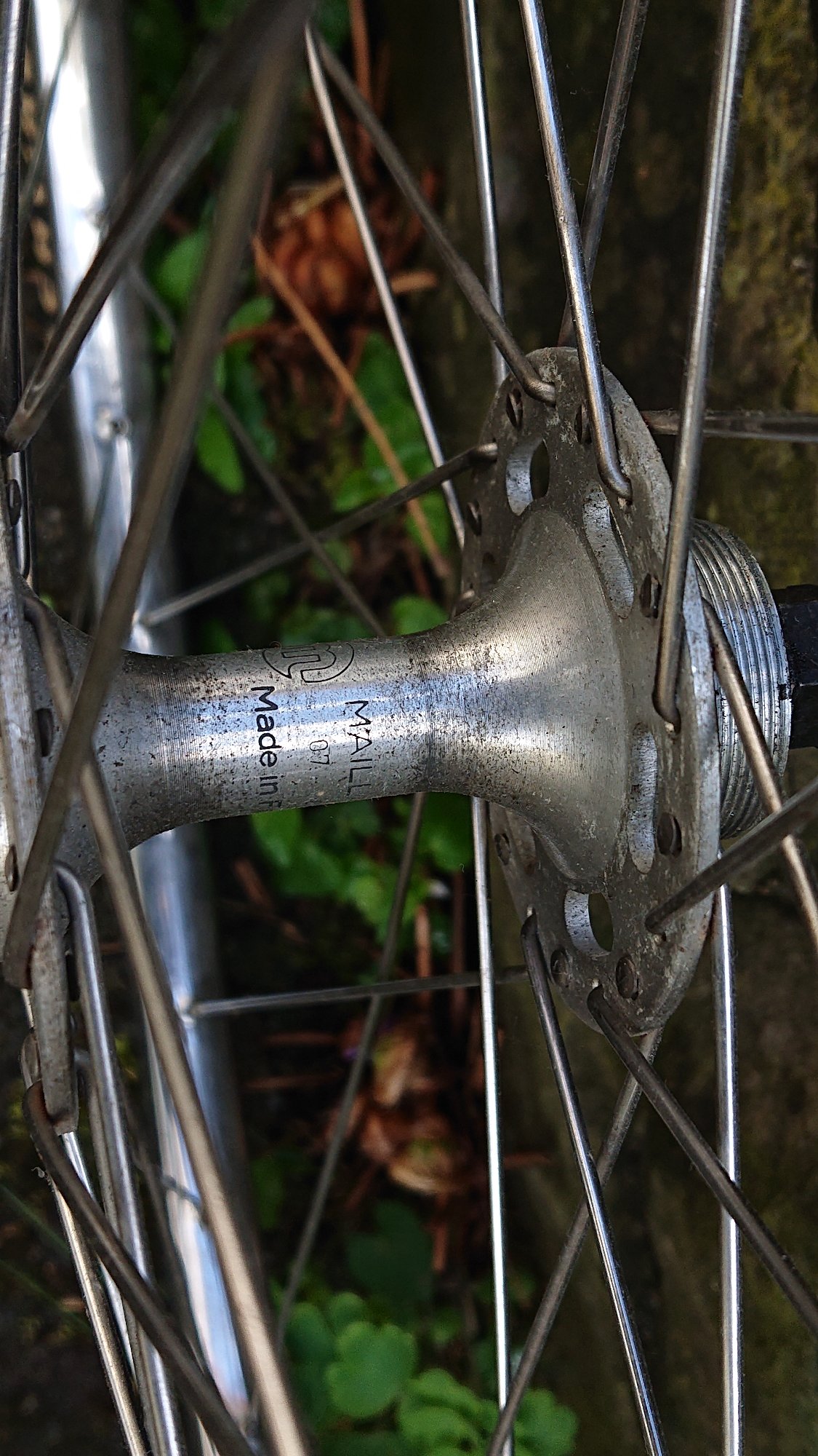 DSC_1314.JPG