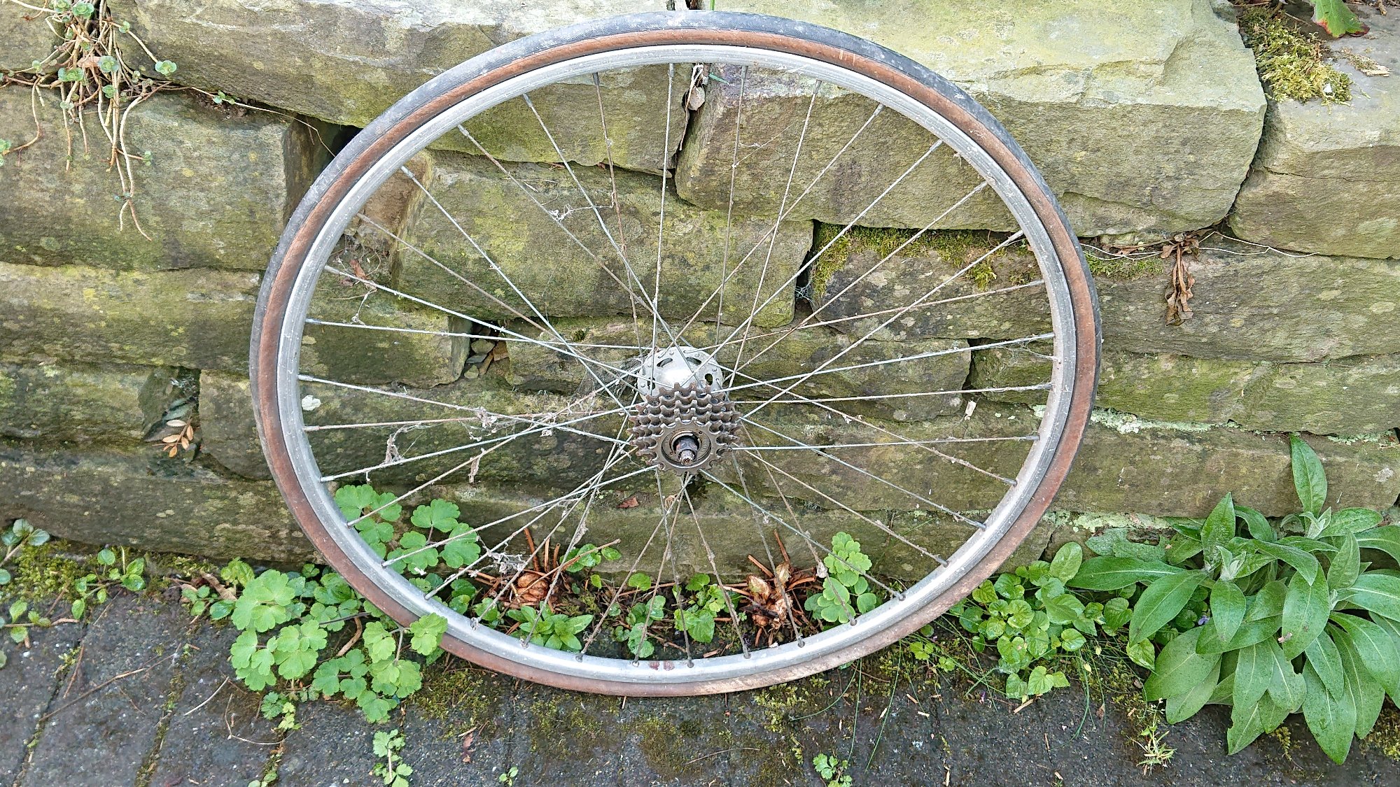 DSC_1326.JPG