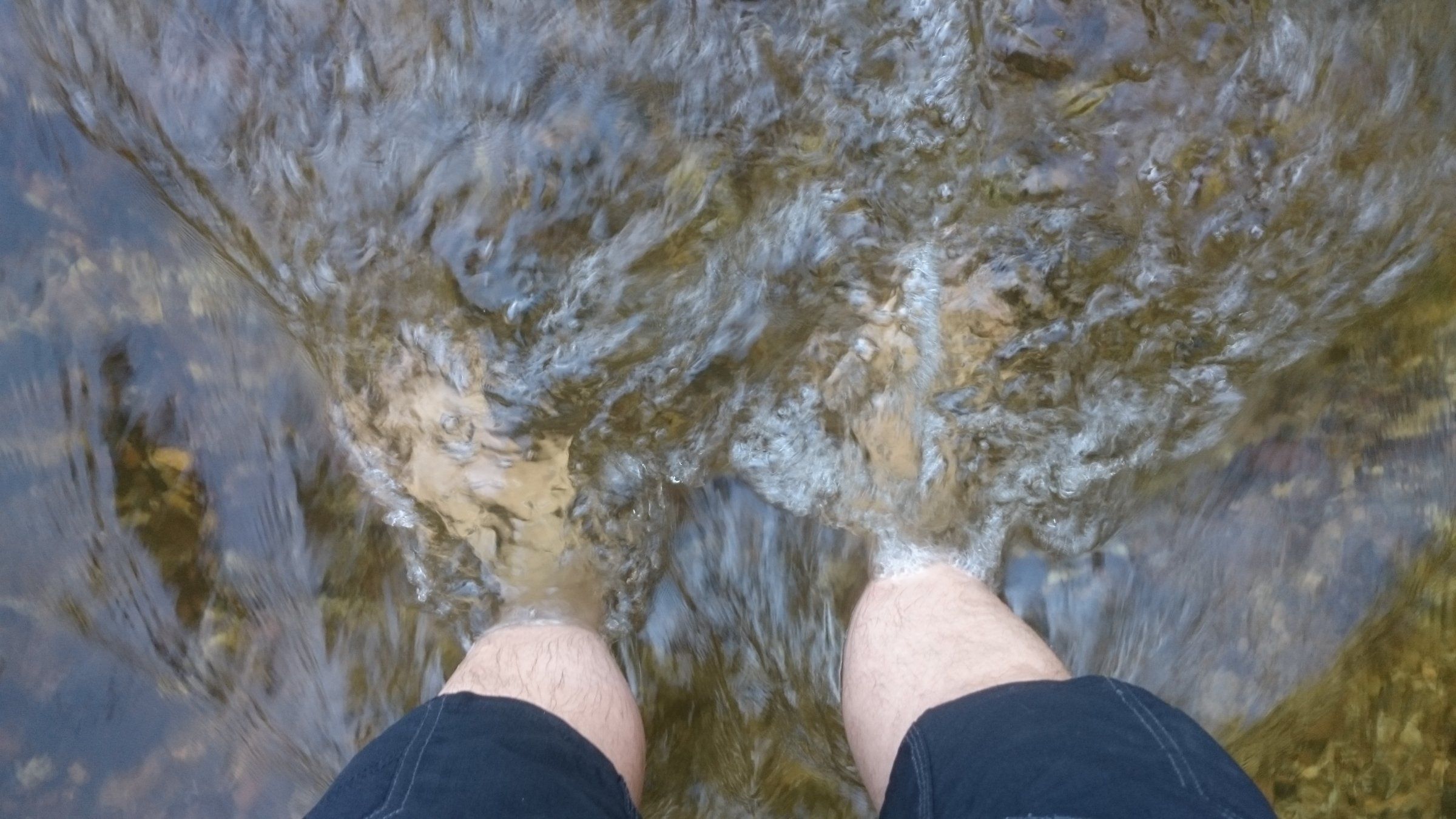 DSC_1354.JPG