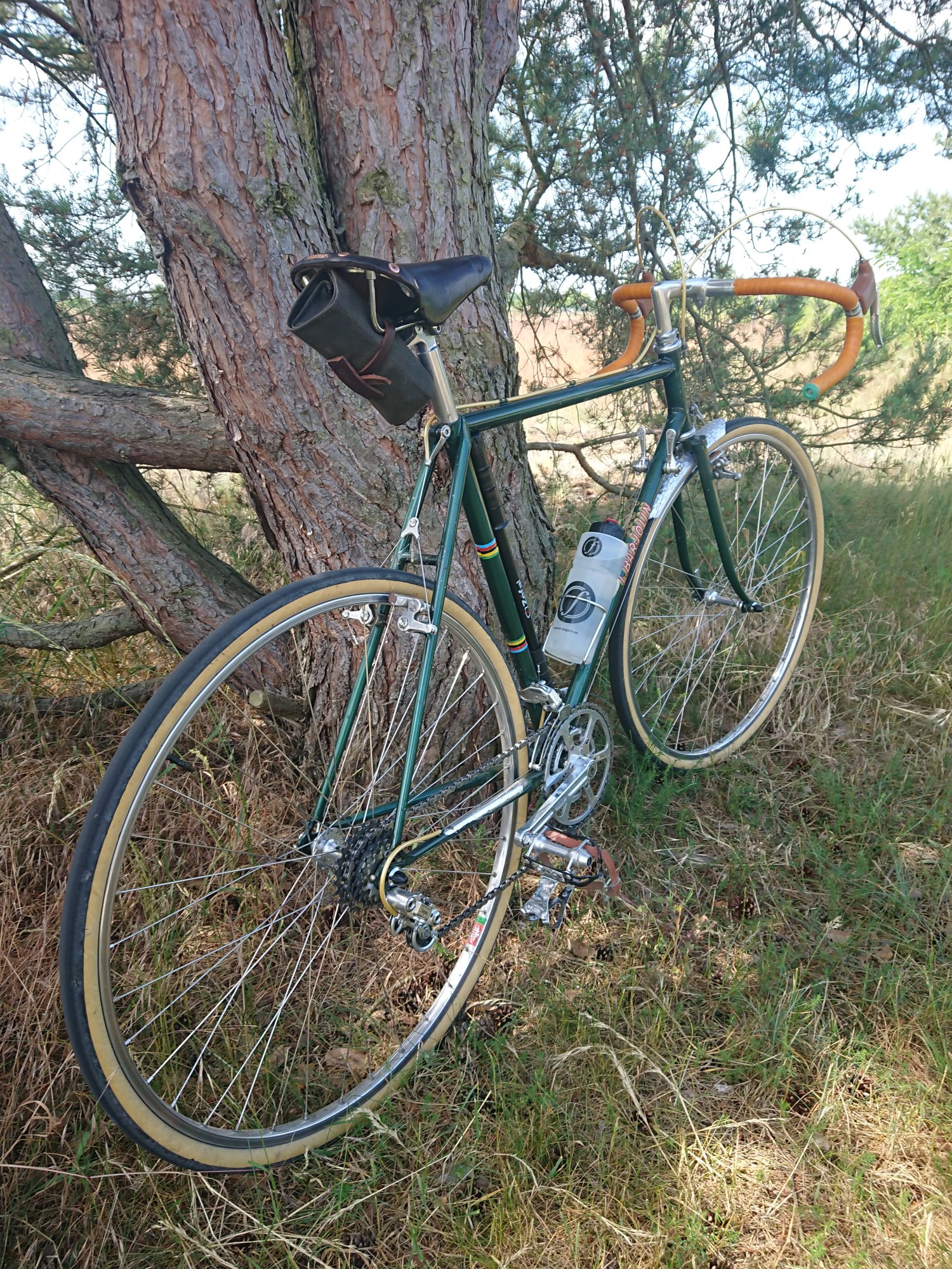 DSC_1372.JPG