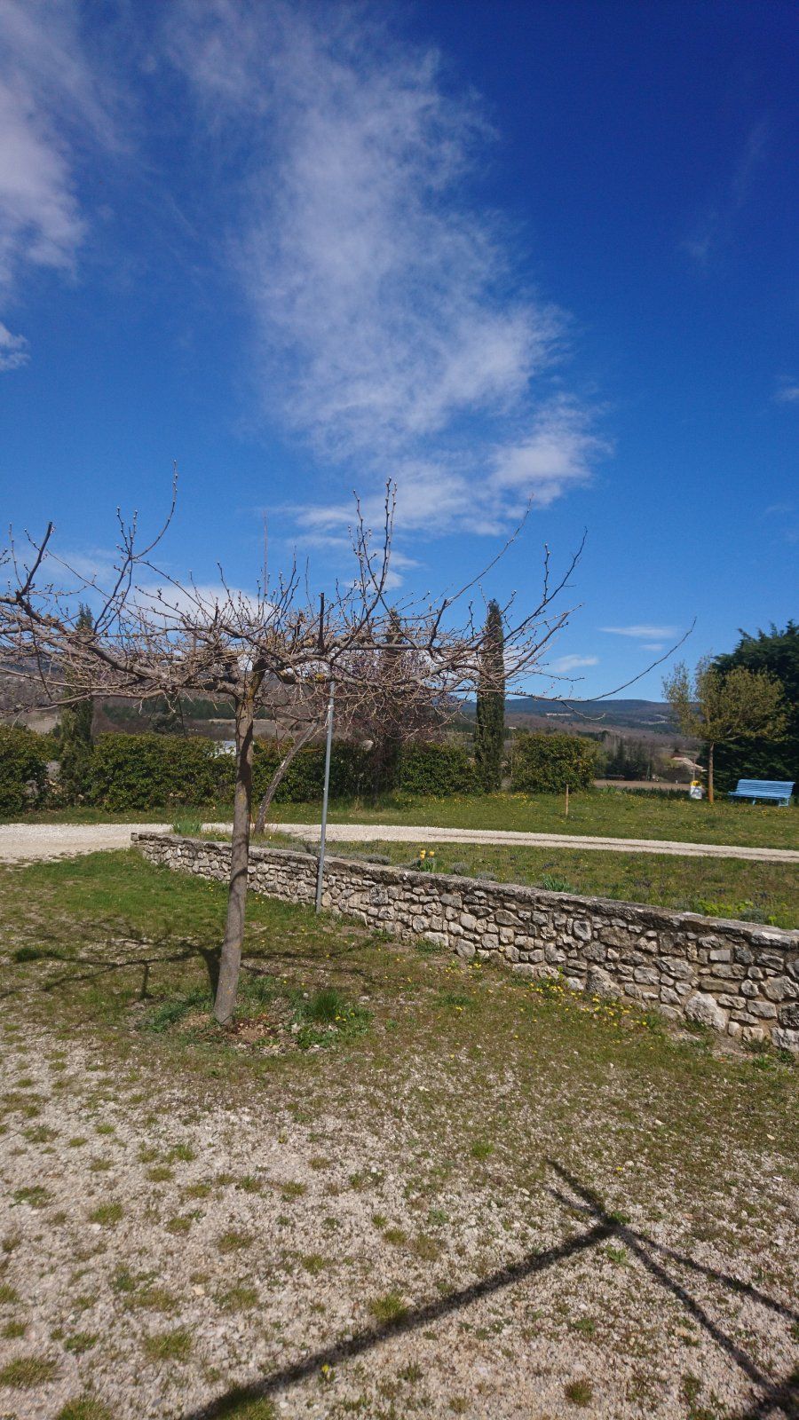 DSC_1703.JPG
