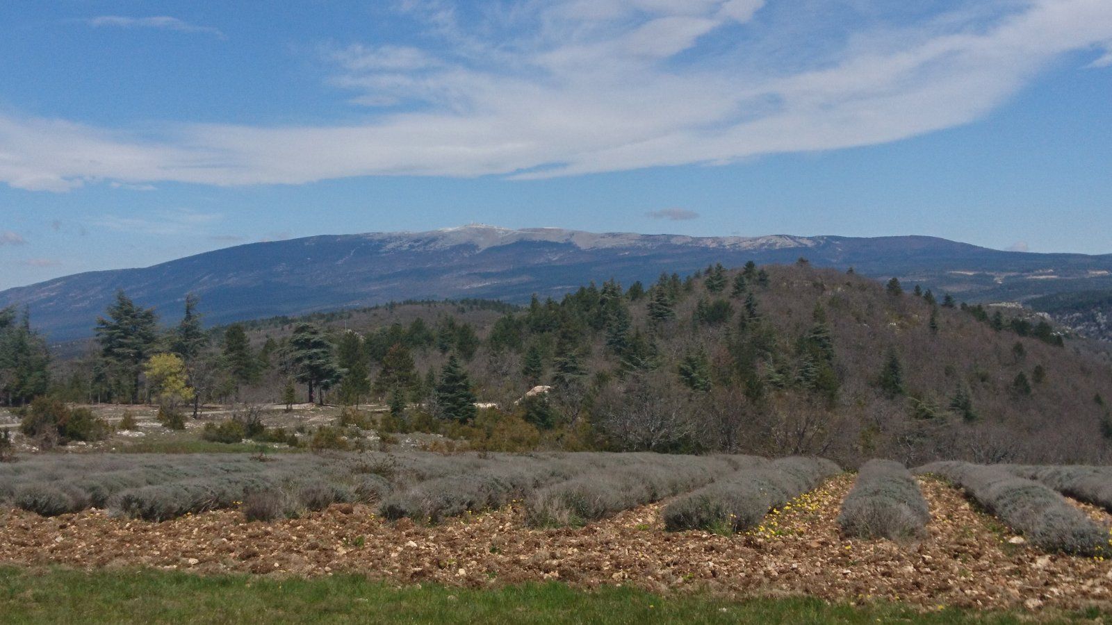 DSC_1705.JPG