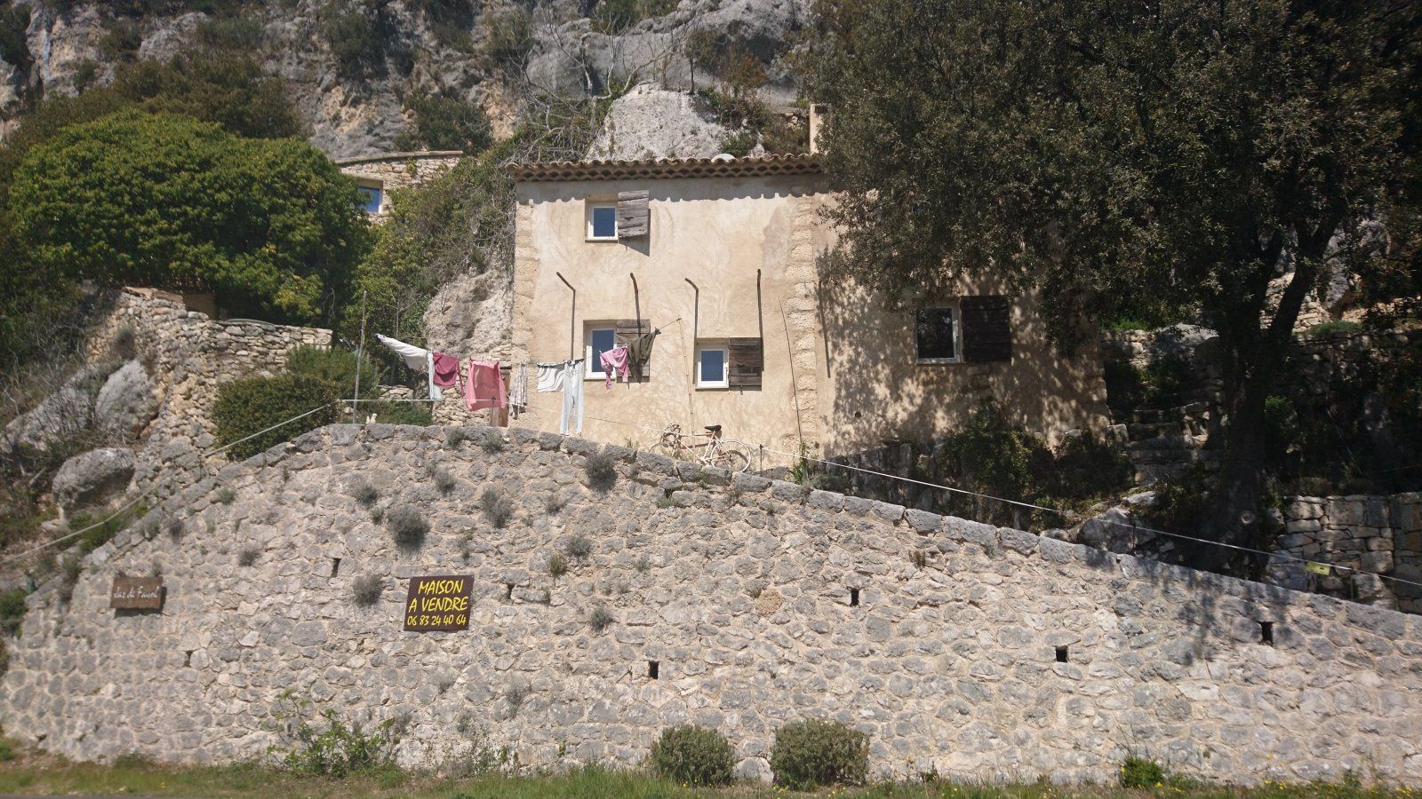 DSC_1710.JPG