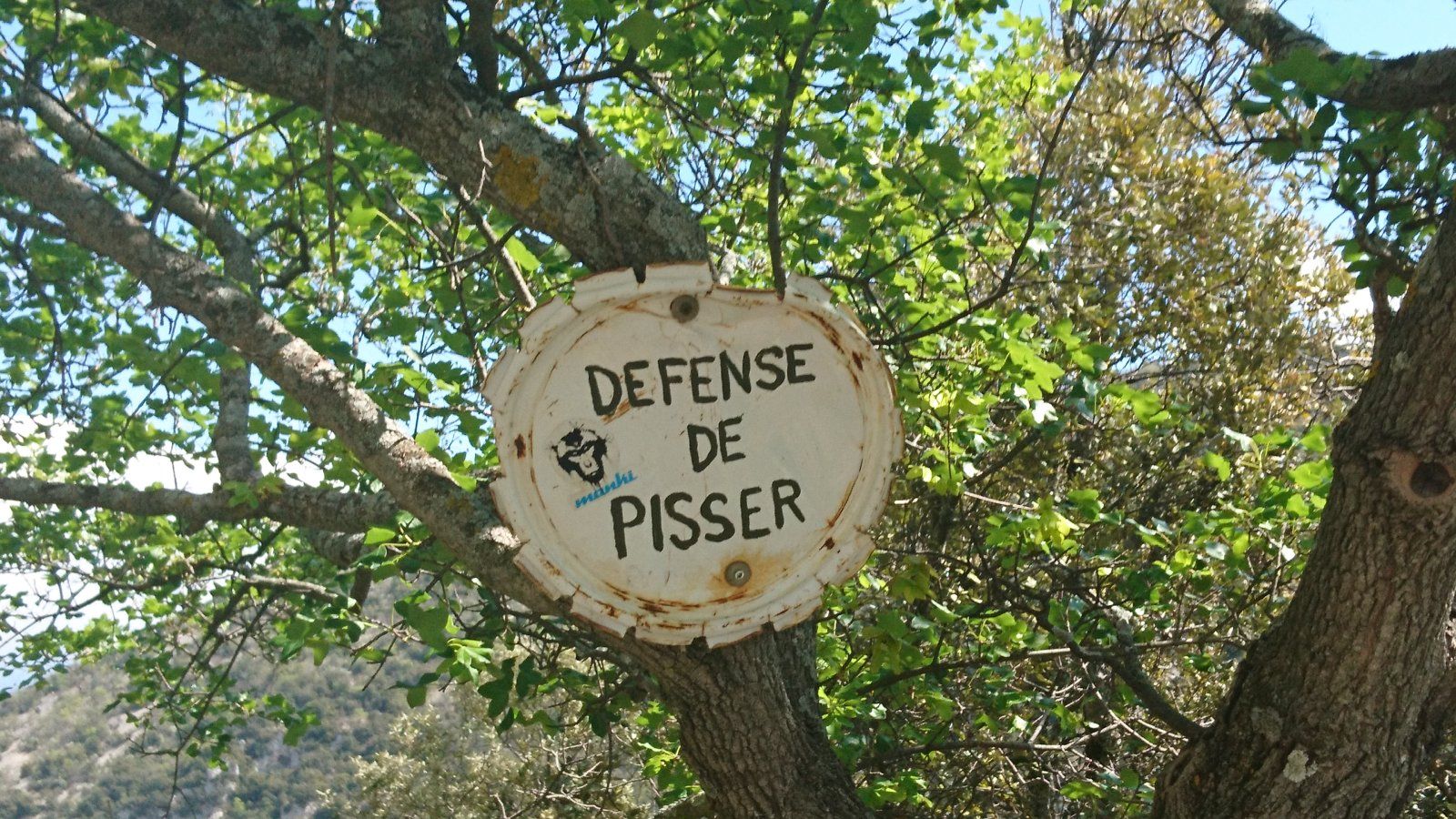 DSC_1712.JPG