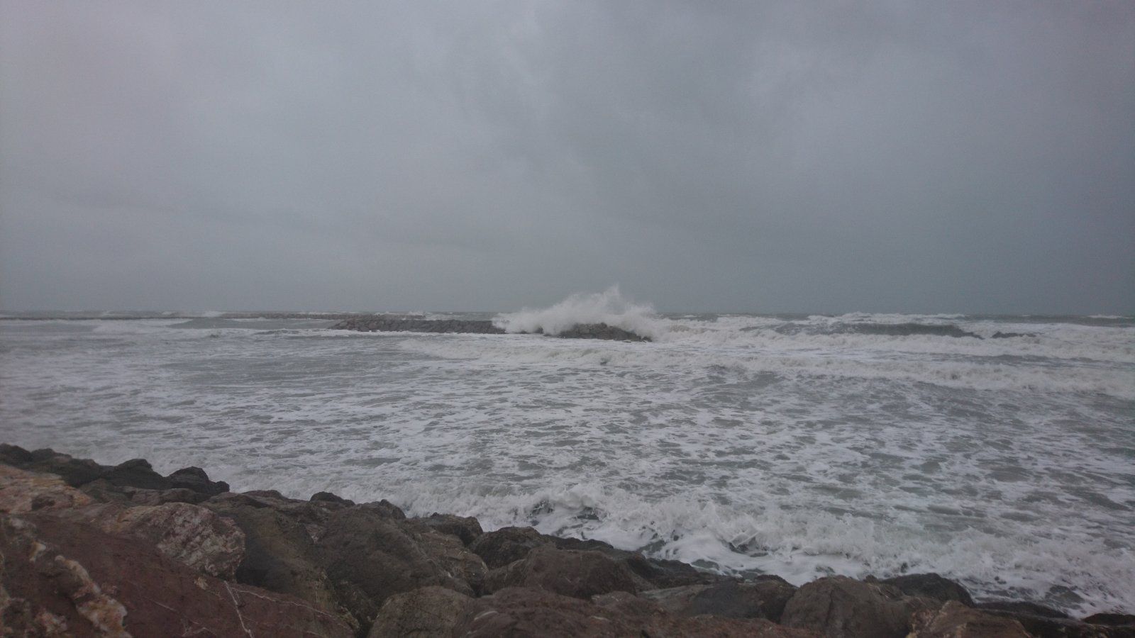 DSC_1883.JPG