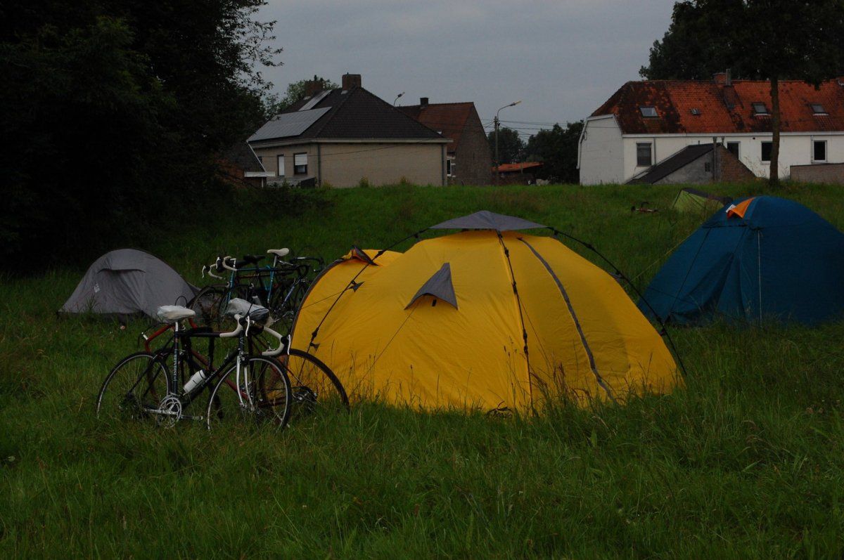 DSC_2341.jpg
