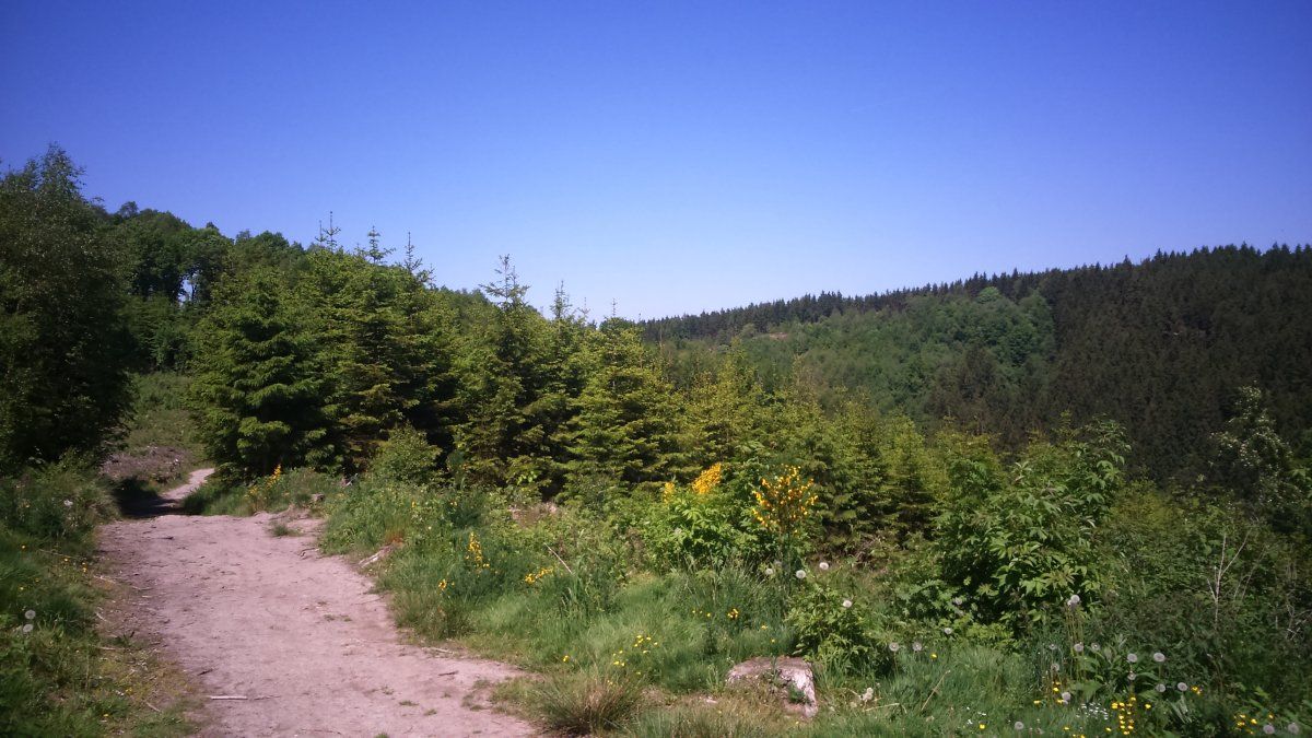 DSC_2530.JPG