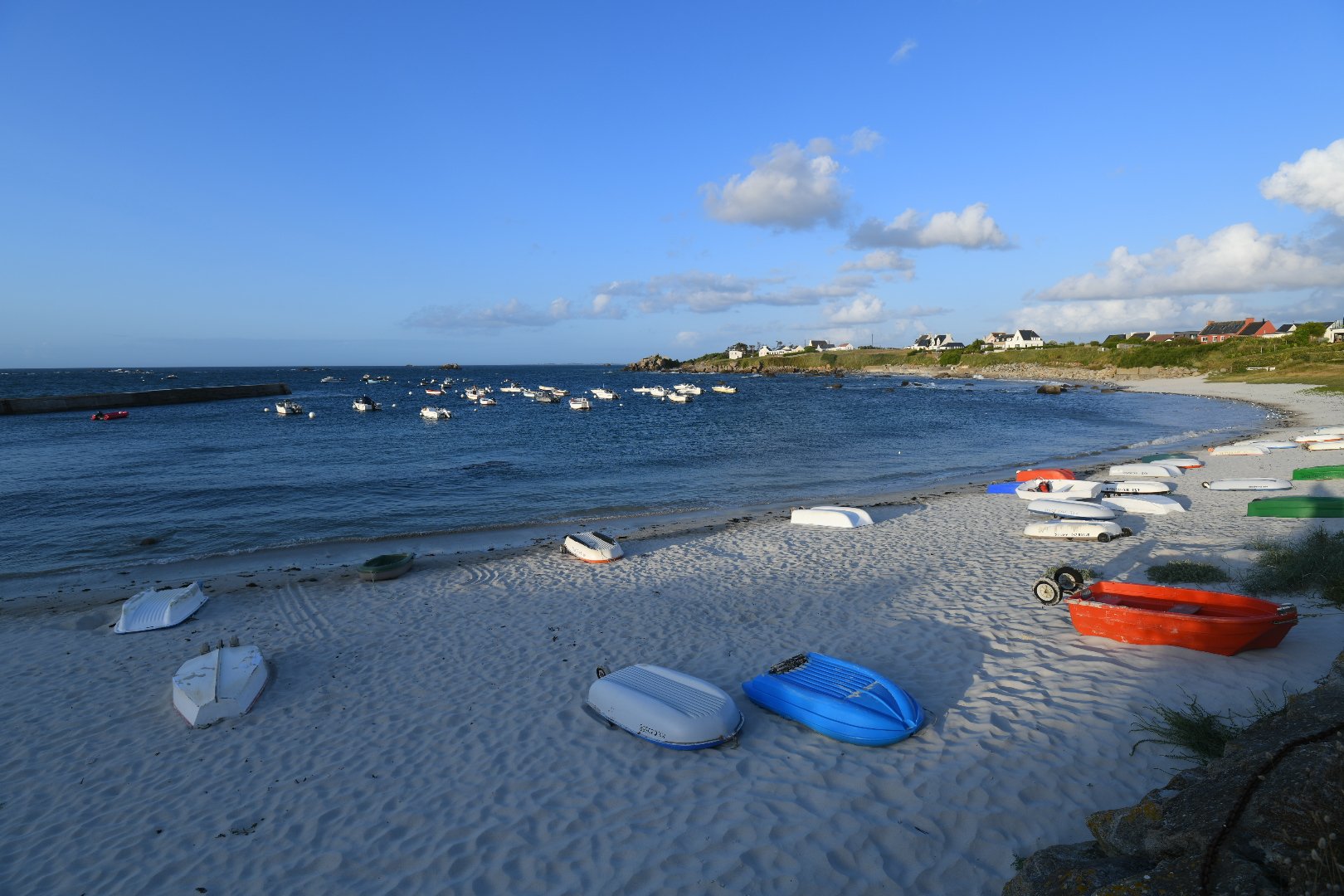 DSC_2620.JPG