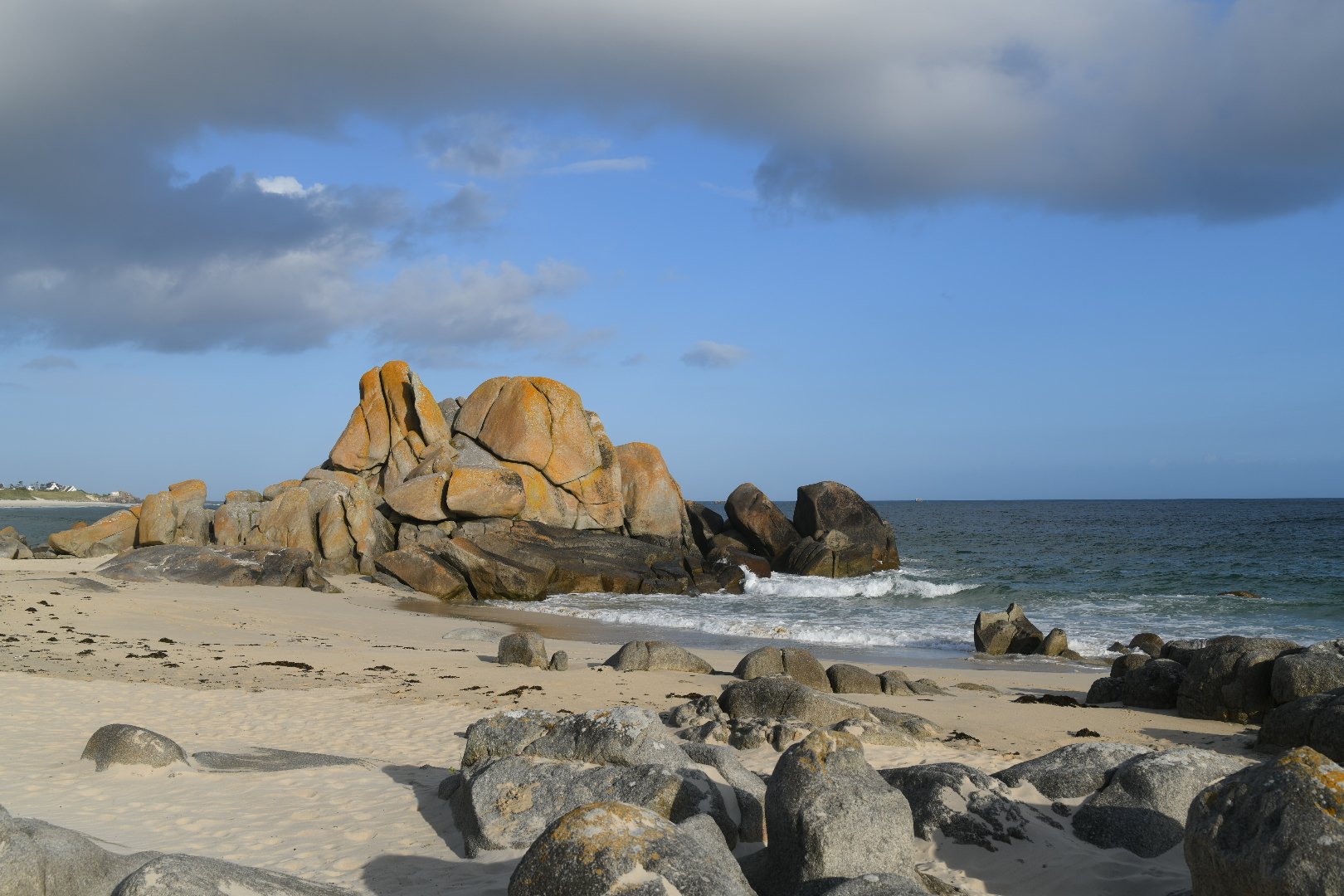 DSC_2651_1.JPG