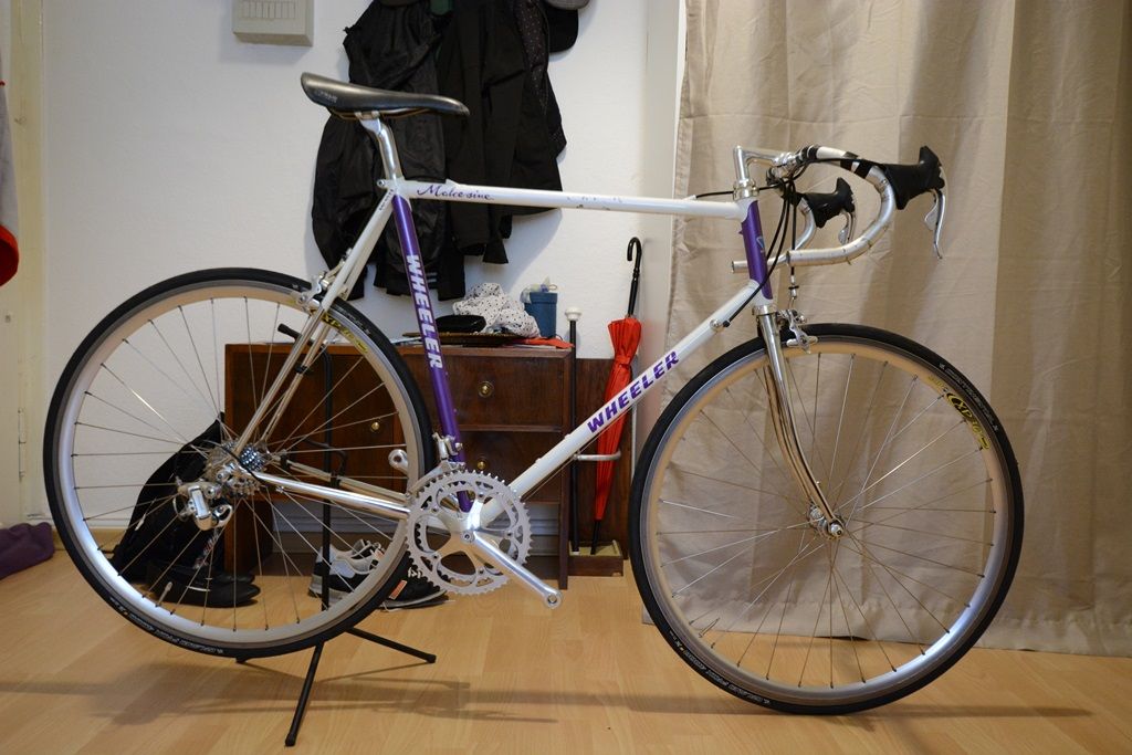 DSC_3379.JPG