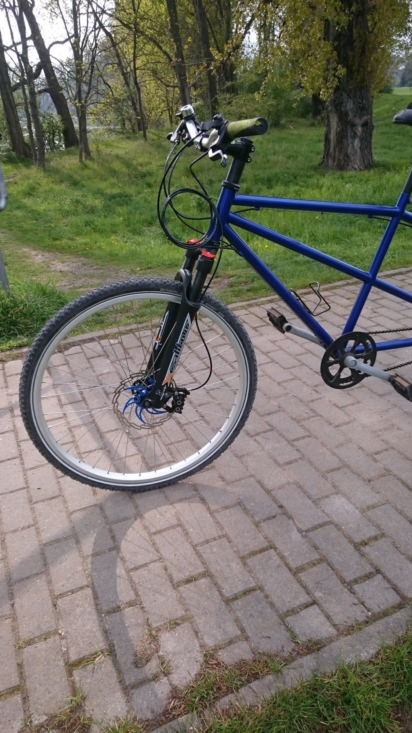 DSC_3396.JPG
