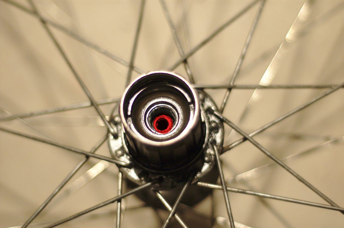 DSC_3778 Kopie.jpg